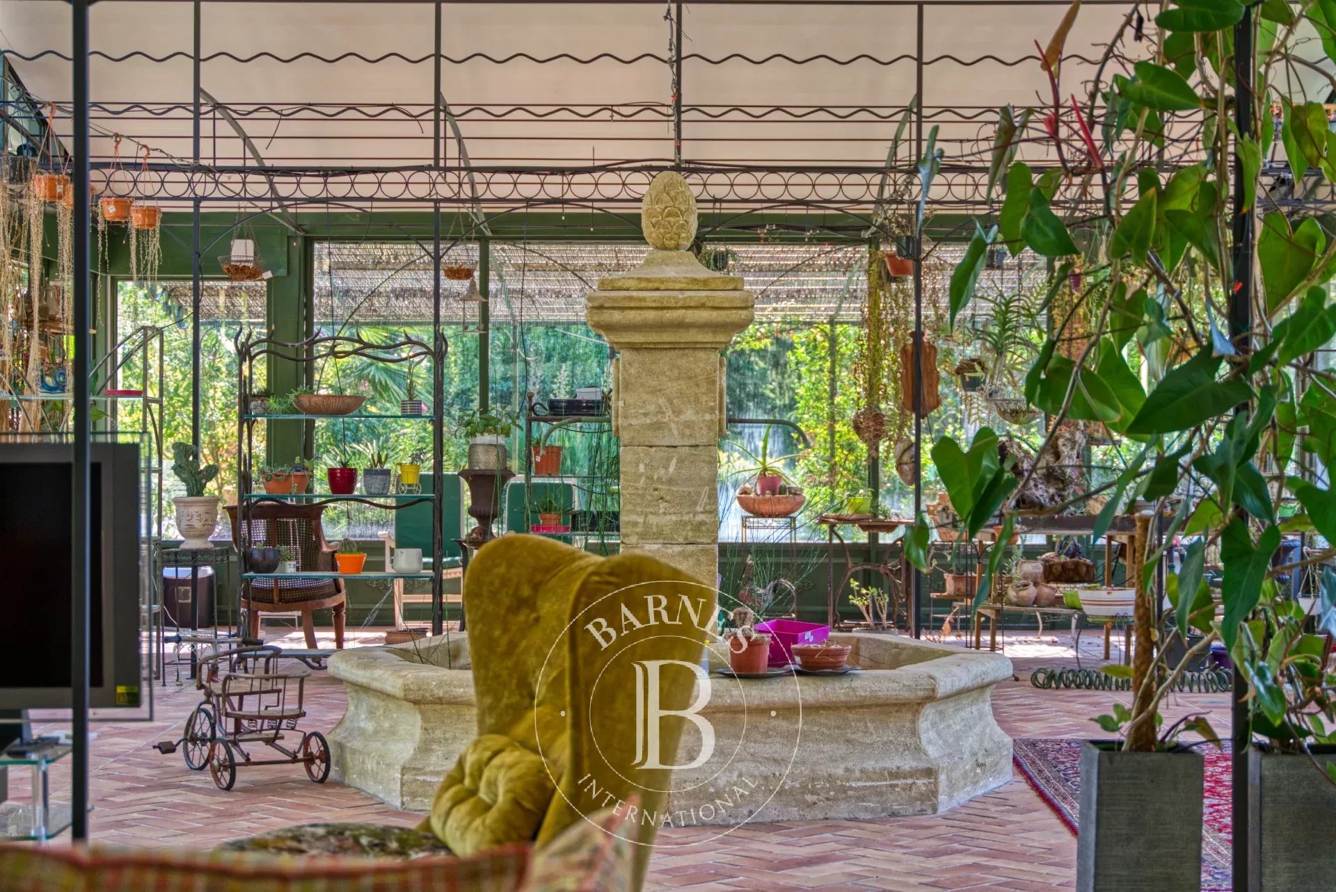 Ev Grasse - picture 4