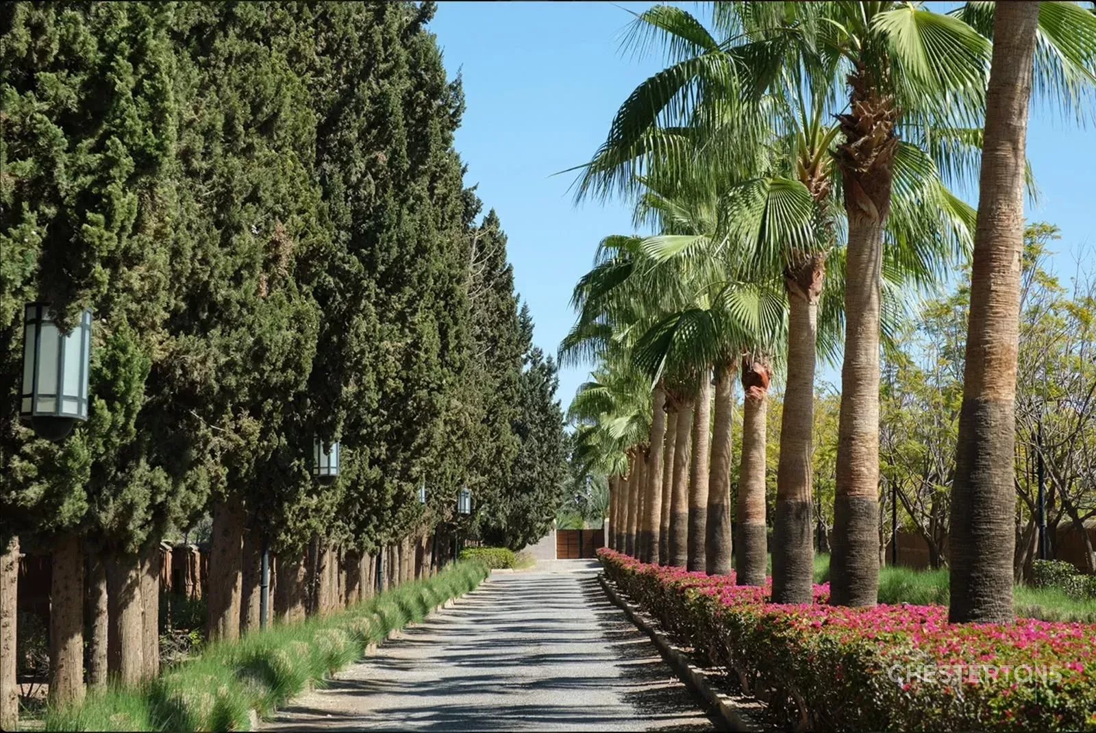  Image of Villa - 4 Bedrooms for Rental in Marrakech-Ménara-Marrakech-Morocco, Image 17