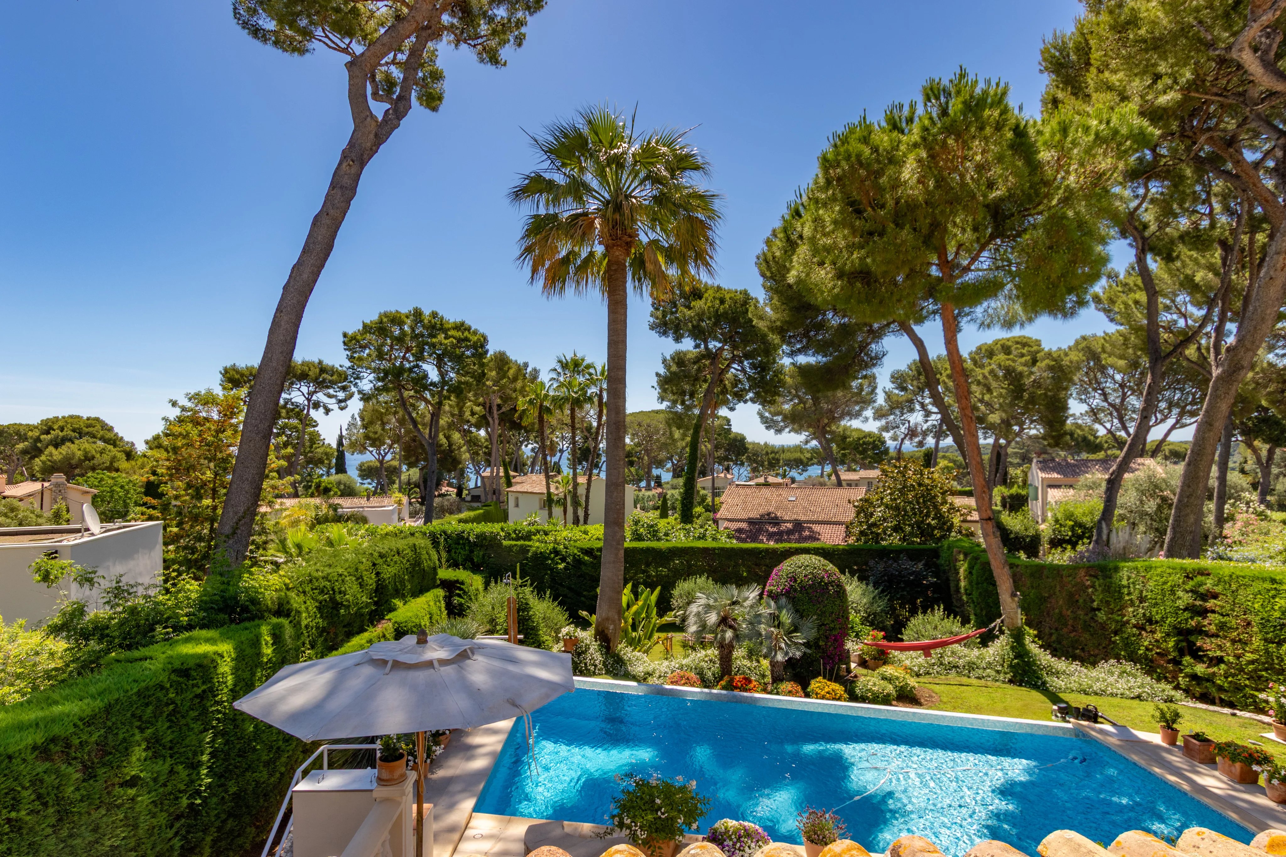 Cap d'Antibes | Dans la Pinède