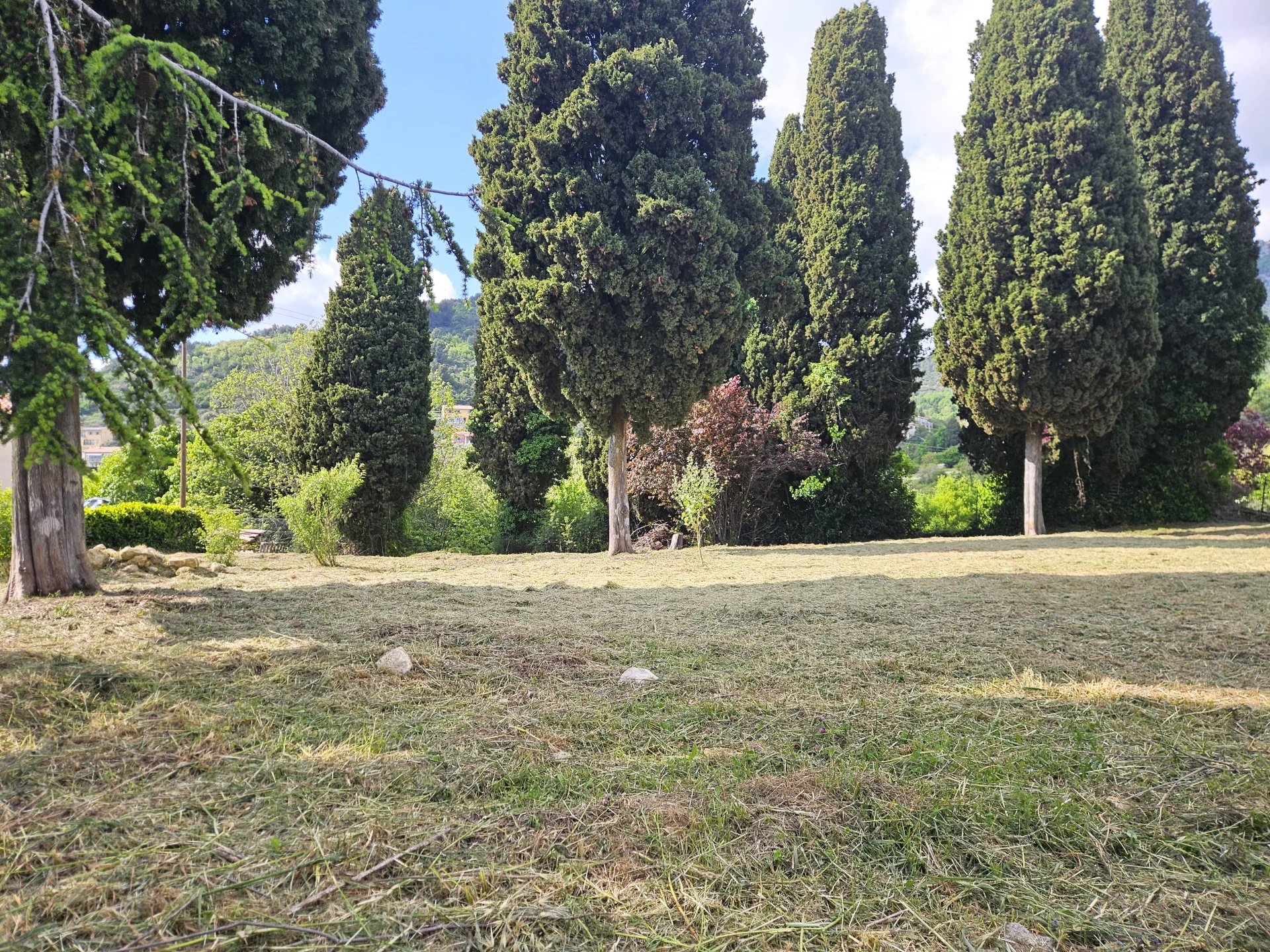 Sale Plot of land Levens