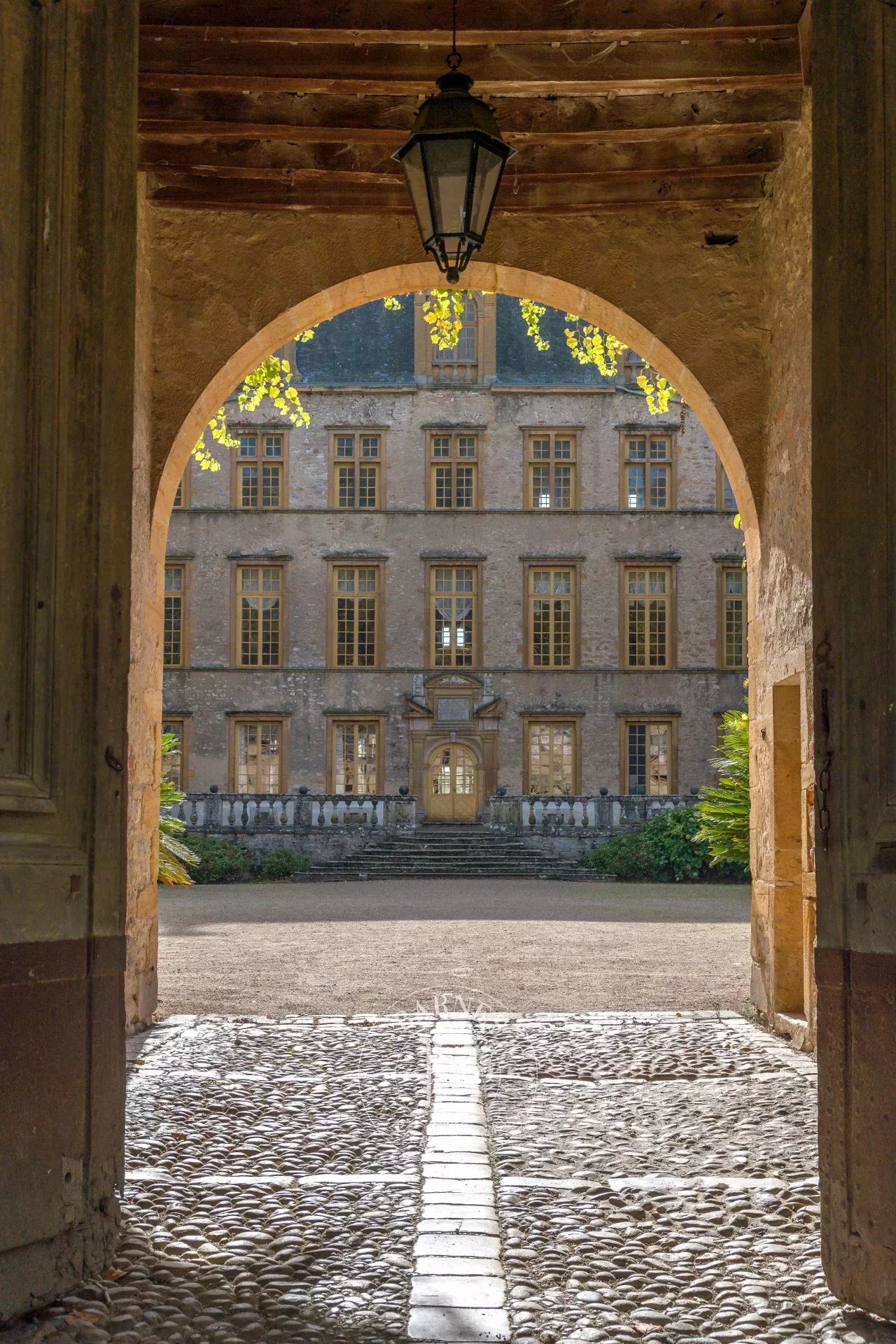 Fareins  - Château 30 Pi&egrave;ces 8 Chambres - picture 17