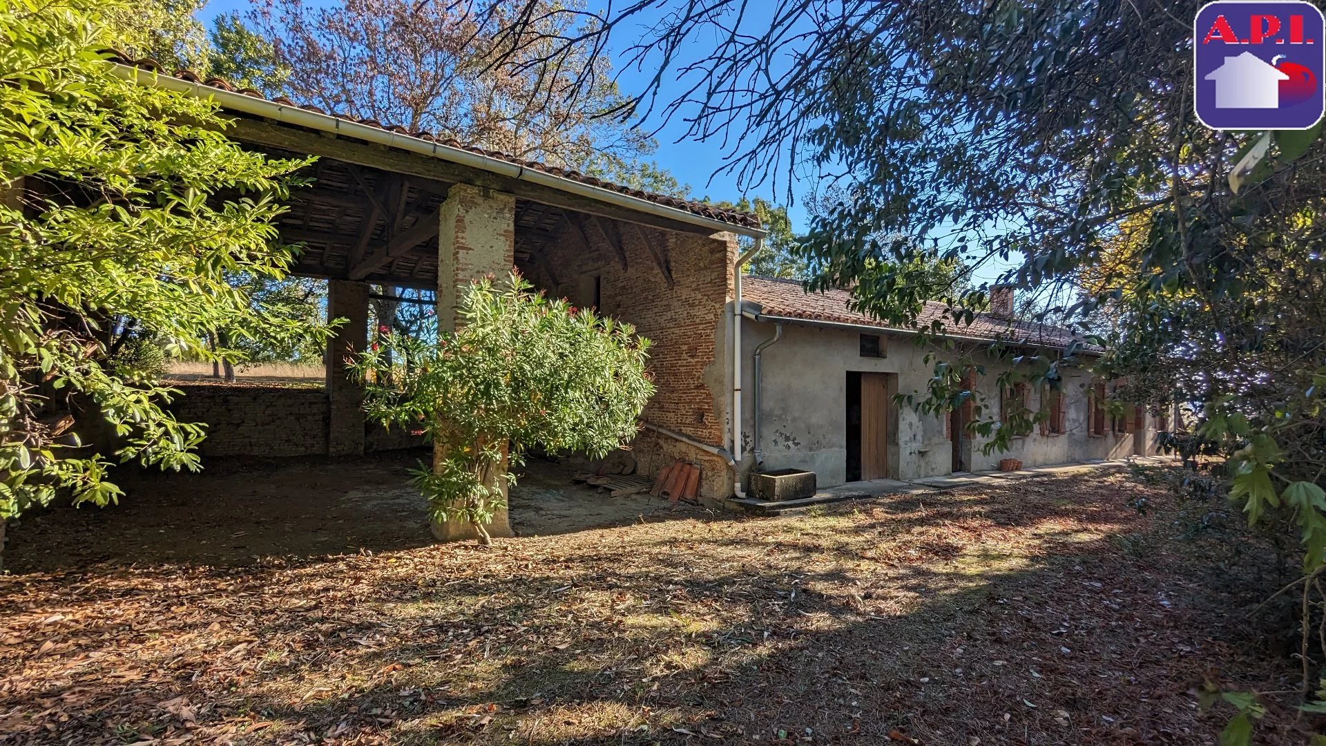 Maison
