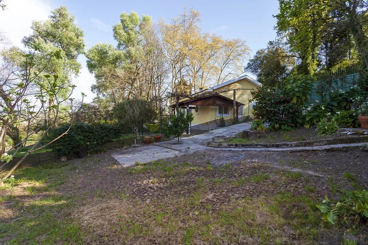 Serenity Refuge by the River—Where Time Embraces Nature