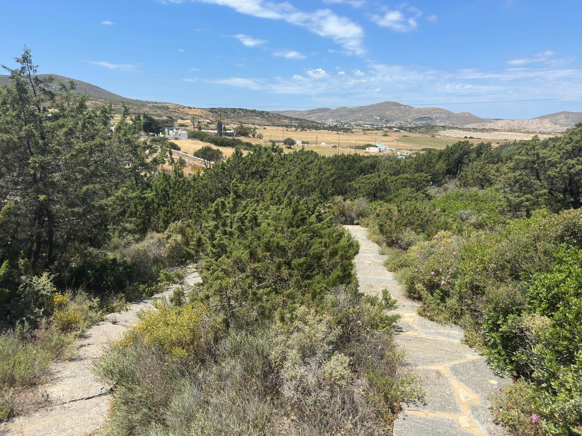 Εικόνα ιδιοκτησίας 91