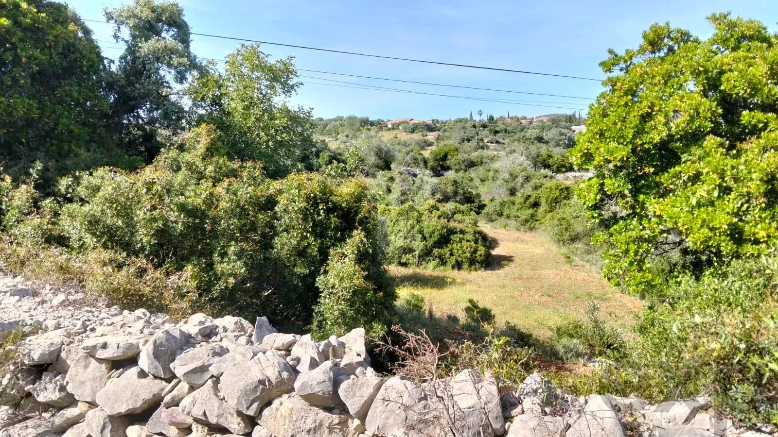 1560 m² Non-Constructible Land in Santa Bárbara de Nexe 86947956 image 2