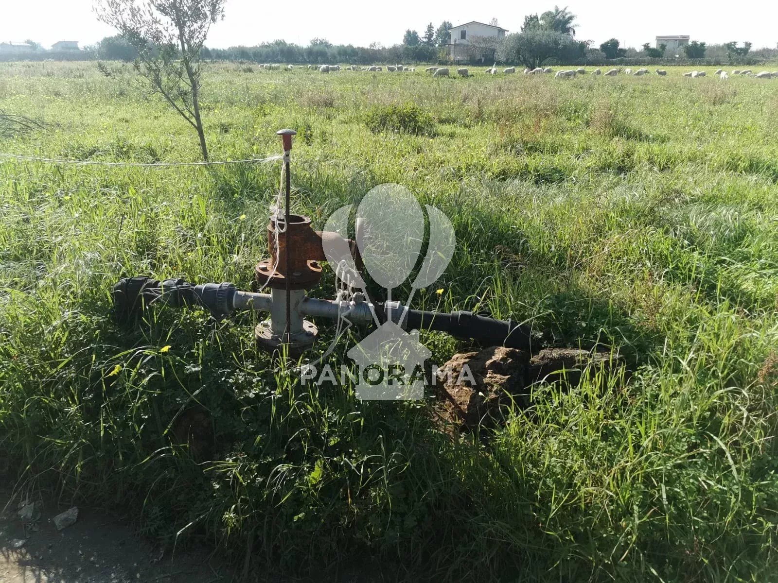 Vendita Terreno Partinico