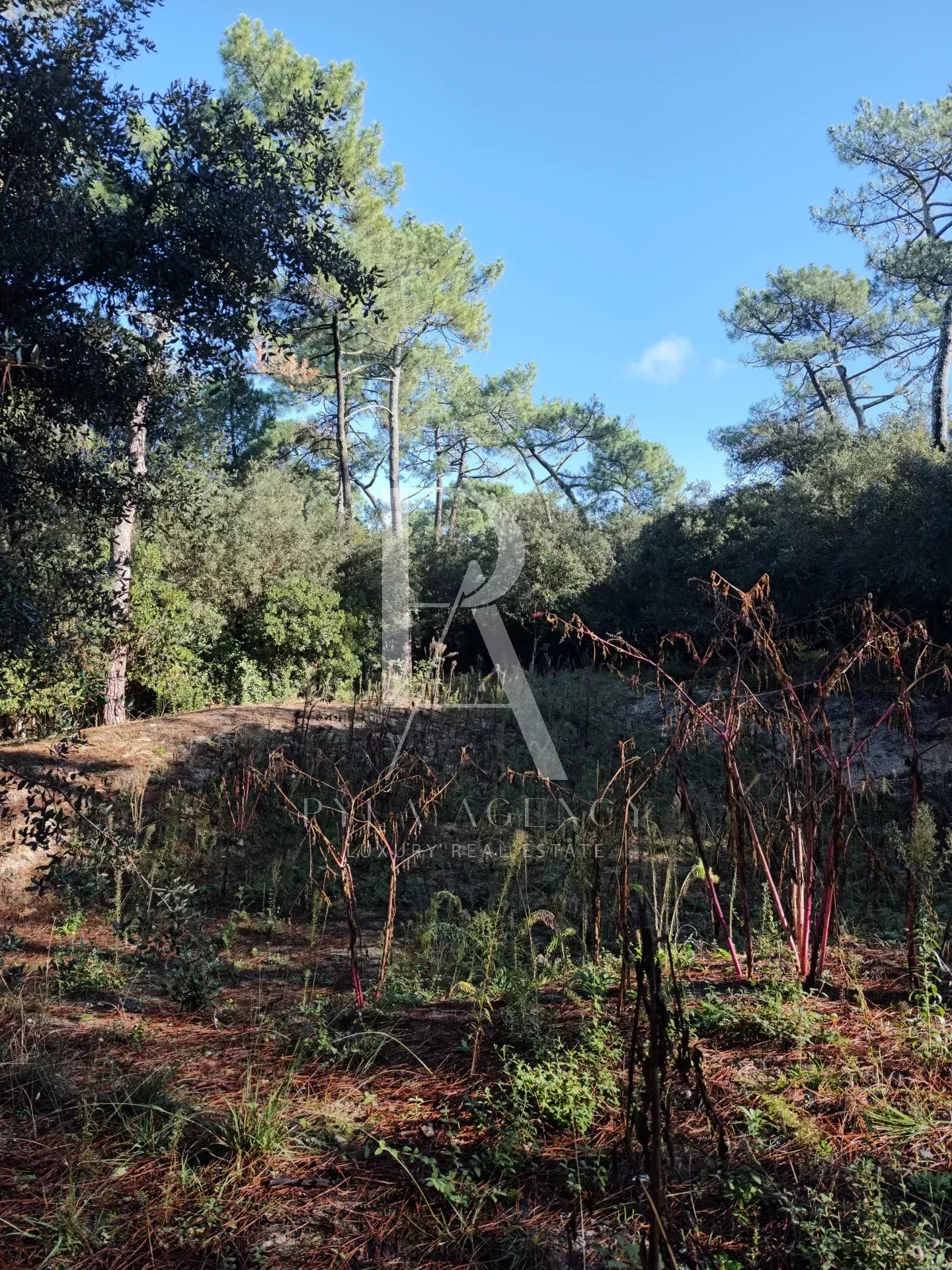 Agence immobilière de Côte d'Argent Immobilier