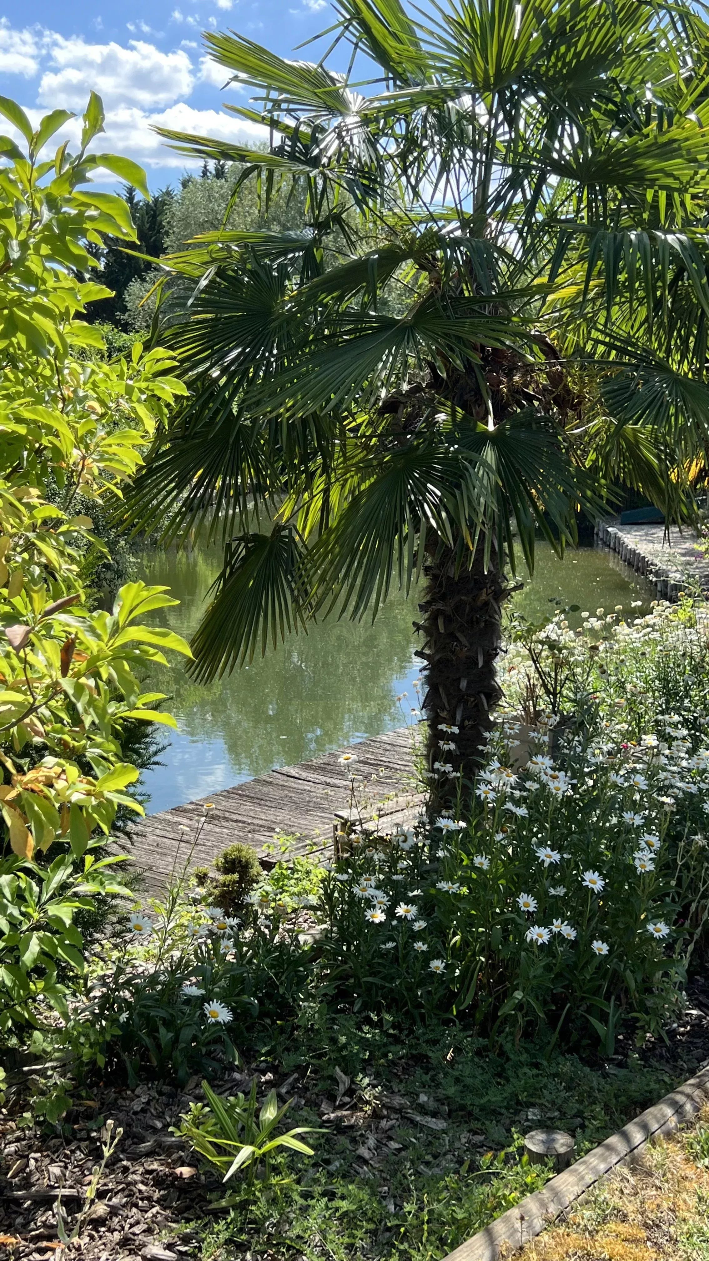 Photo bien immobilier