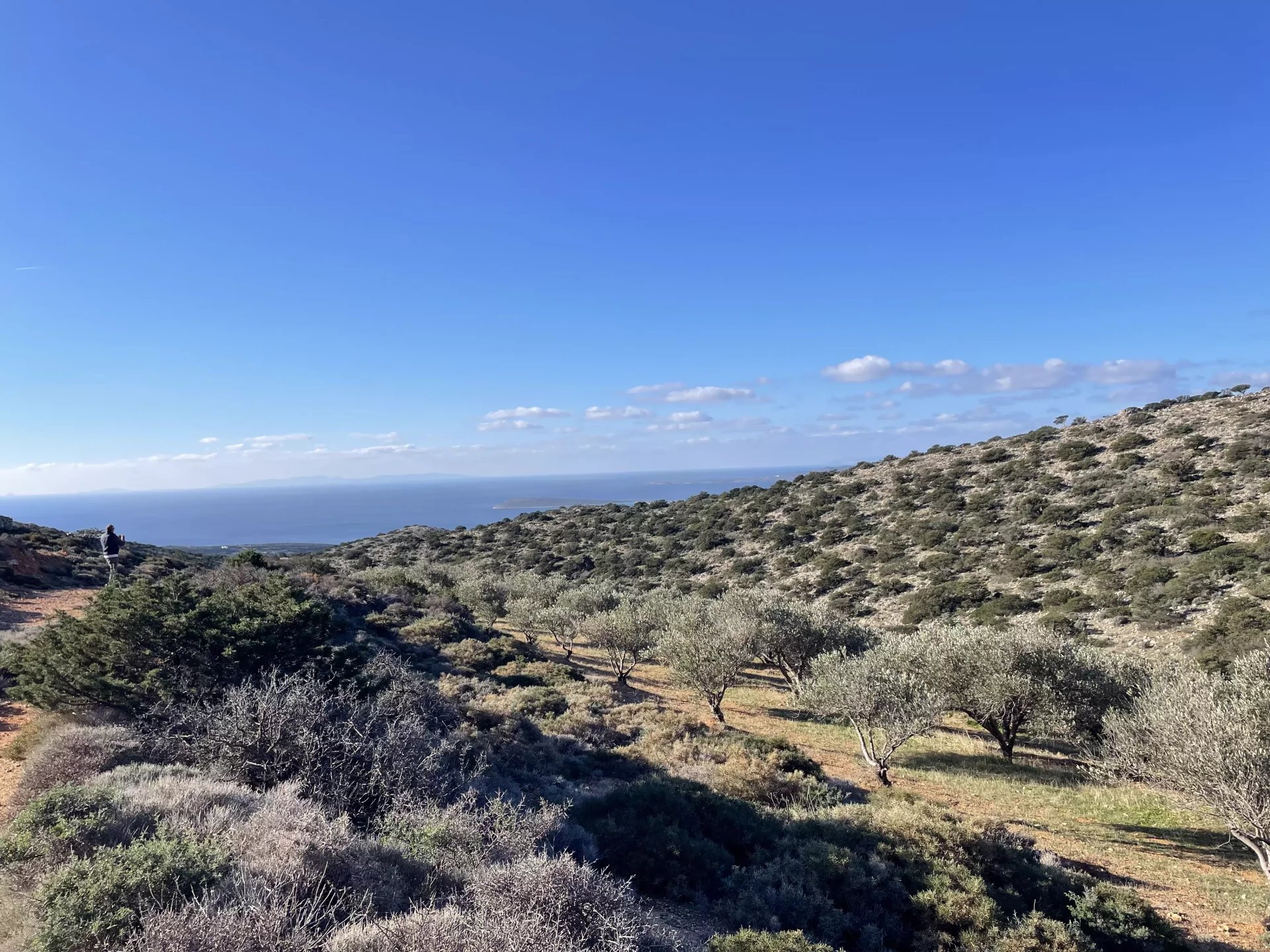 Exclusive Olive Grove Plot for Sale in Tranquil Agkairia – Build Your Paros Dream Retreat