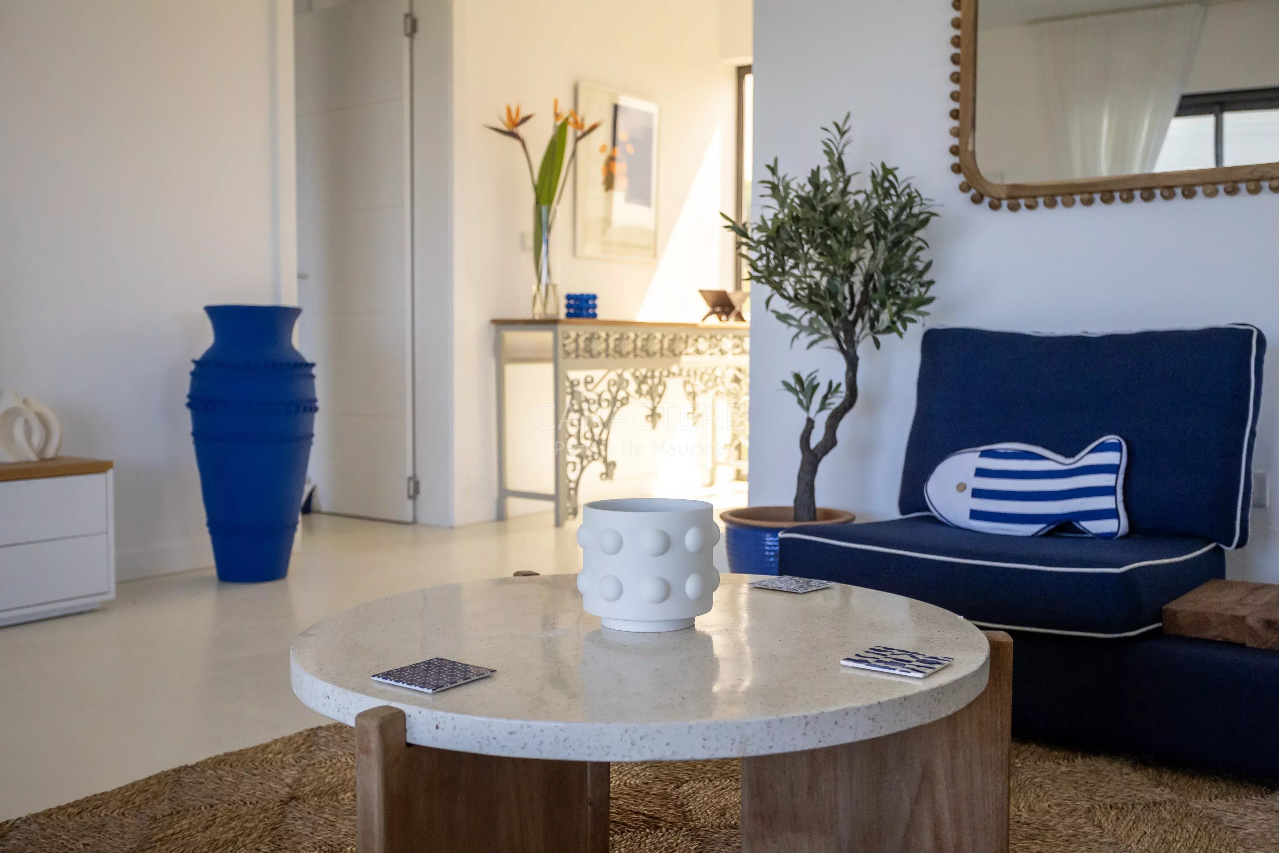 Villa contemporaine meublée à Azuri