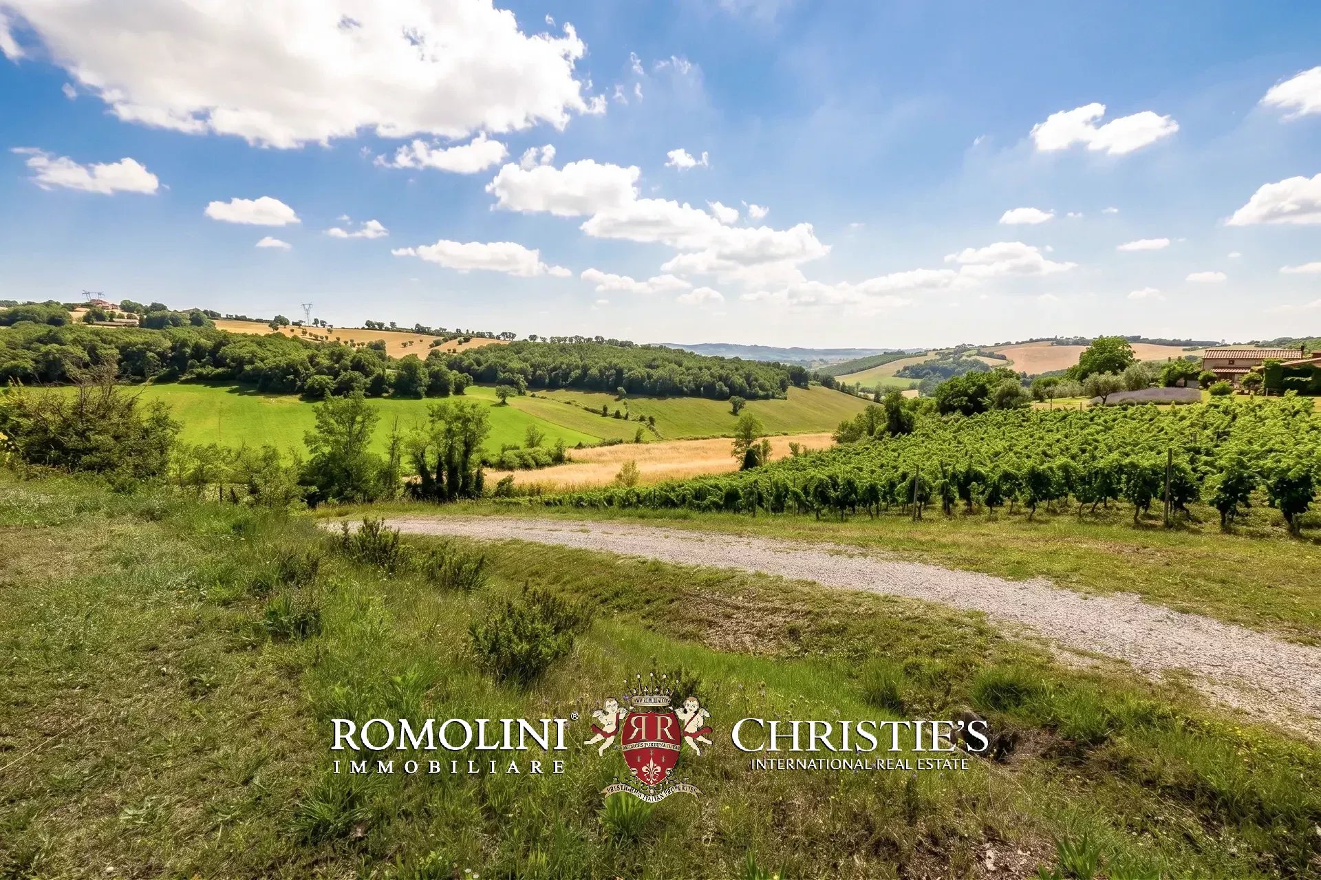 5 Bedroom Vineyard's Image 17