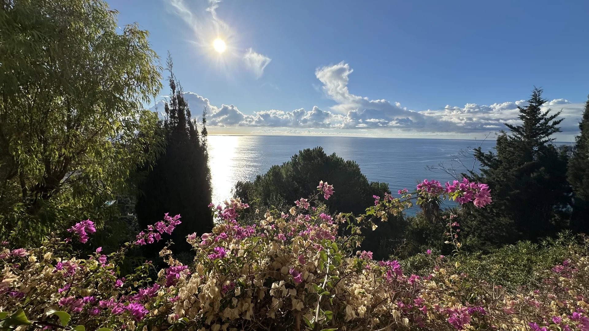Roquebrune Cap-Martin: 160 m² villa with panoramic sea and Monaco views: