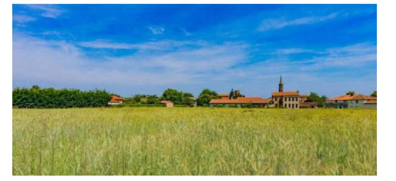 Agence immobilière de Agence Casa Rosa