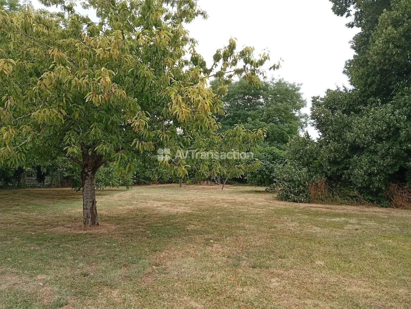 Vente Terrain Amberre