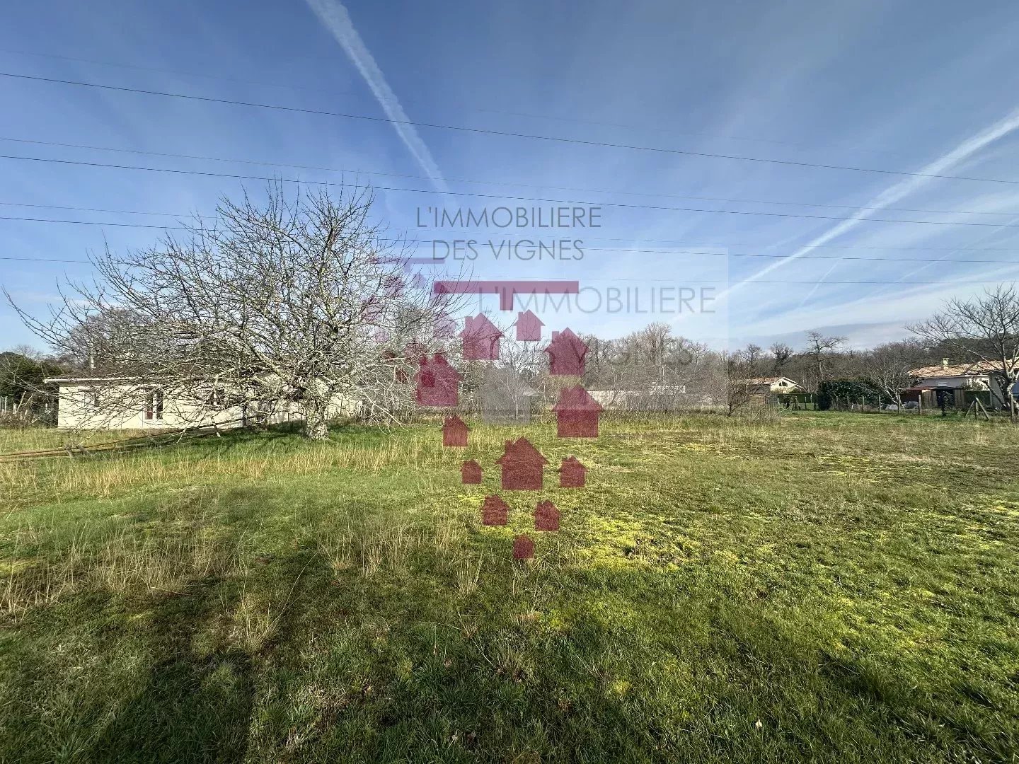 Agence immobilière de L'Immobilière des vignes