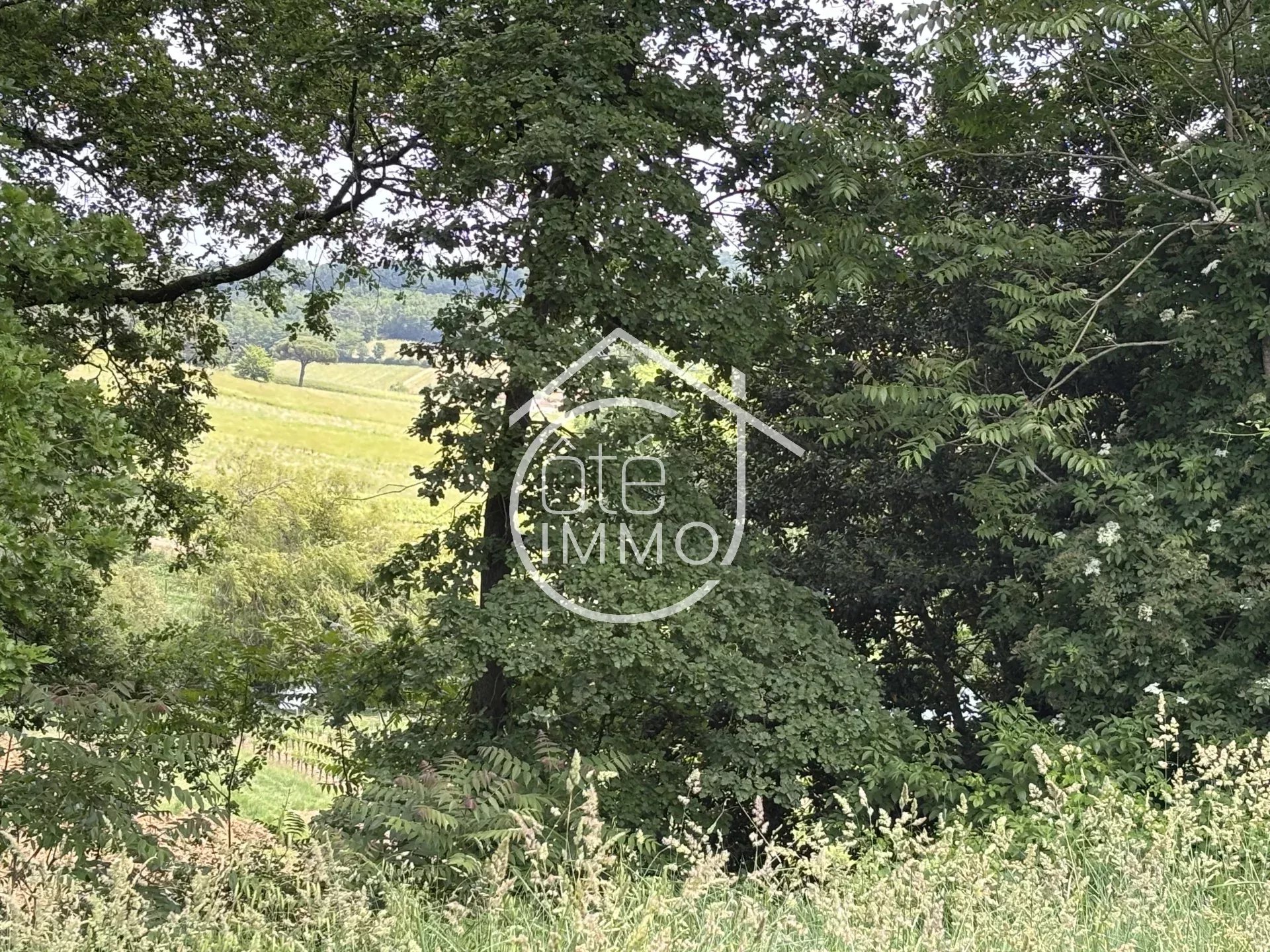 Agence immobilière de Agence-Cote Immo