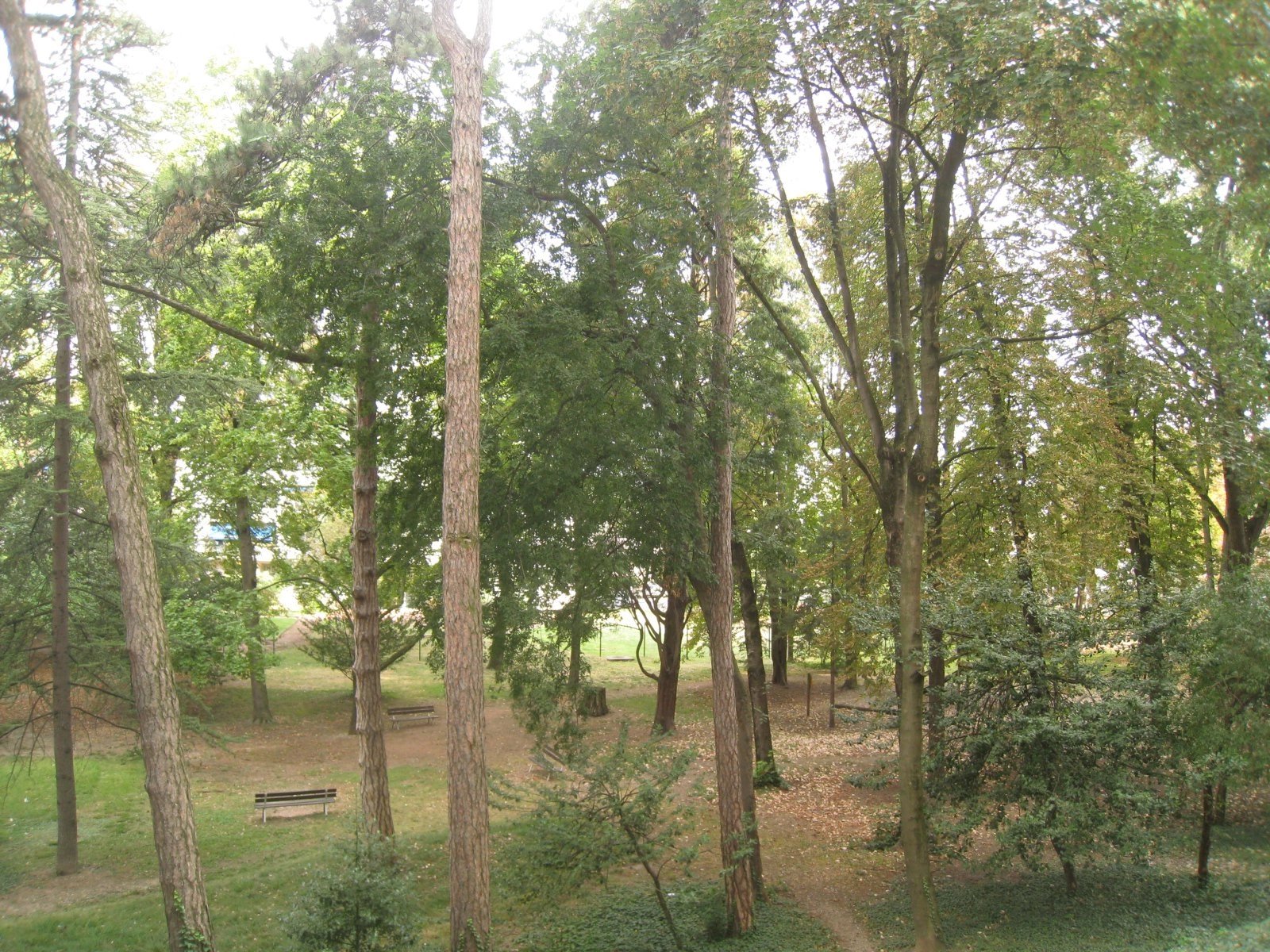 2745594 Location Villeurbanne