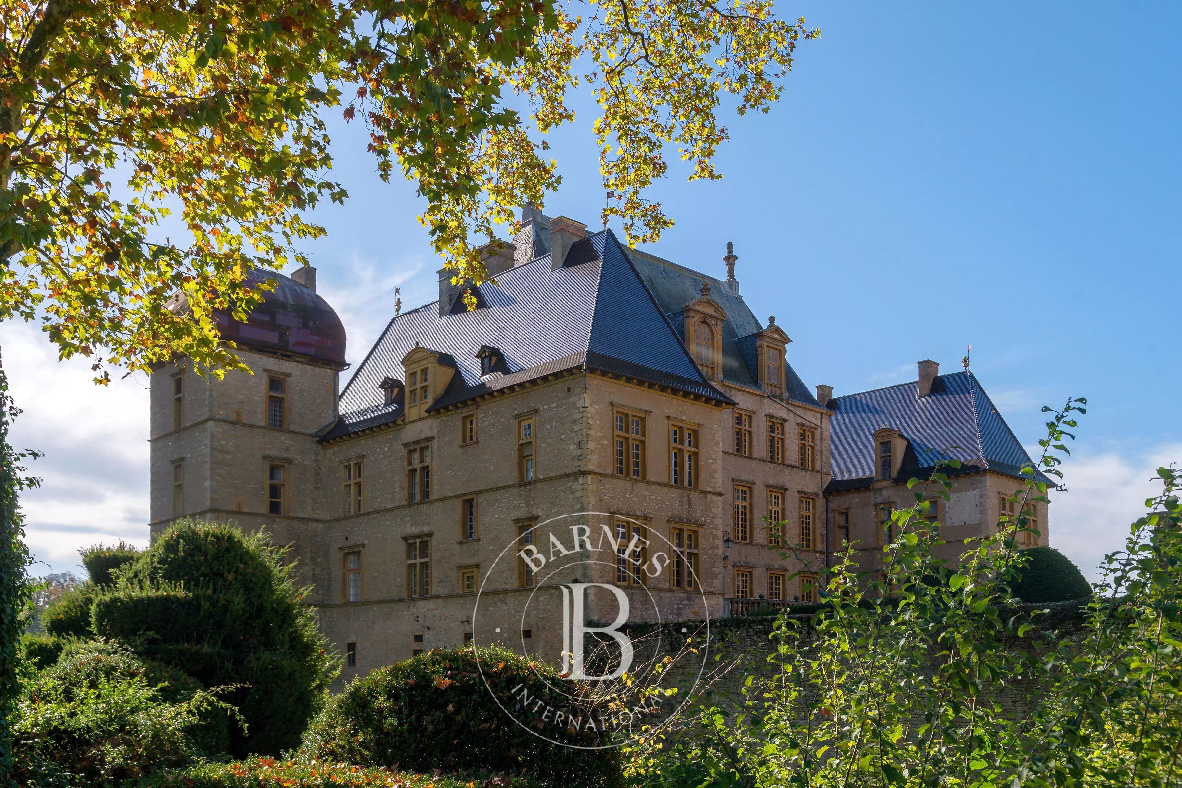 Fareins  - Château 30 Pi&egrave;ces 8 Chambres - picture 13