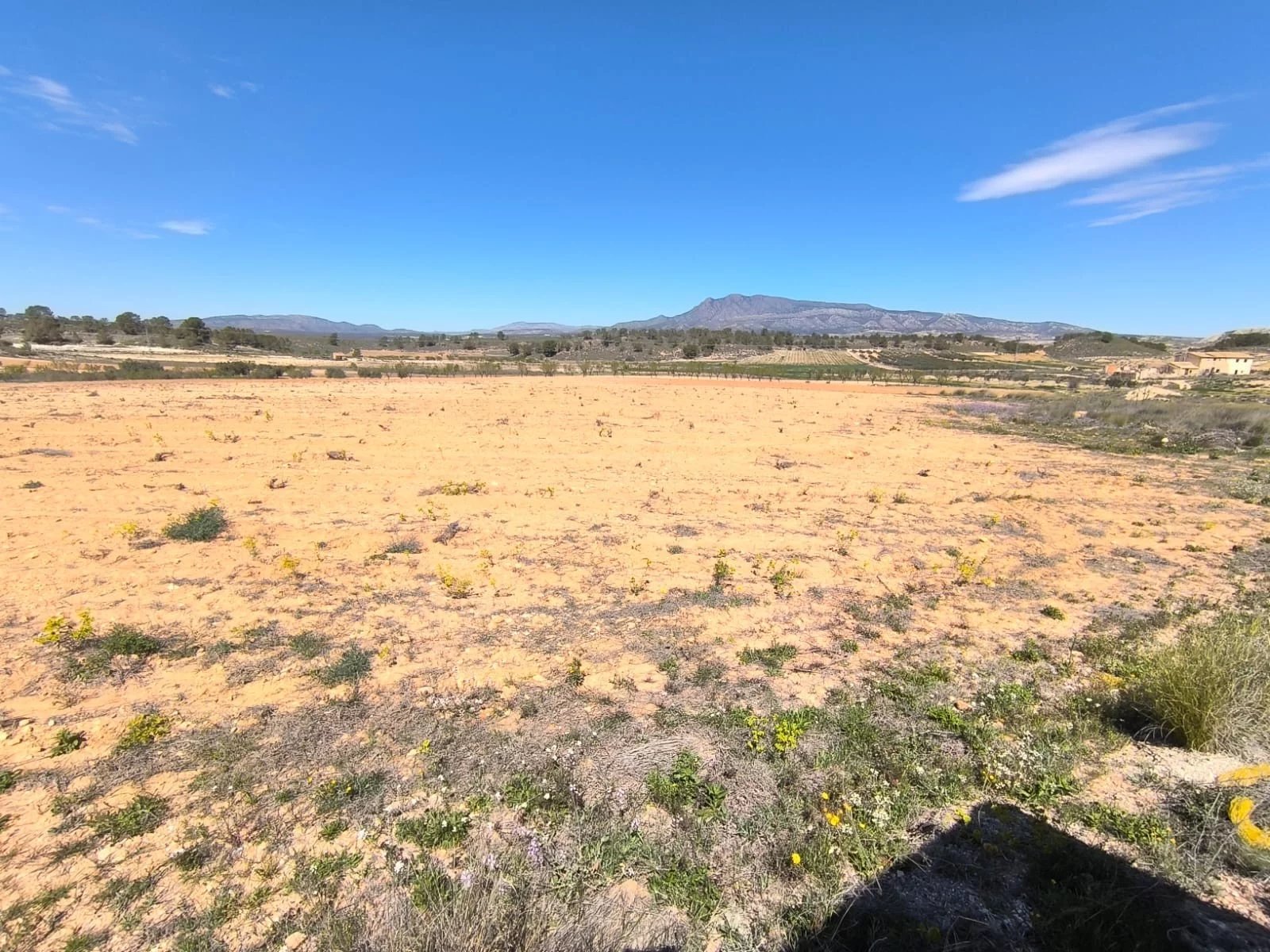Vente Terrain La Zarza