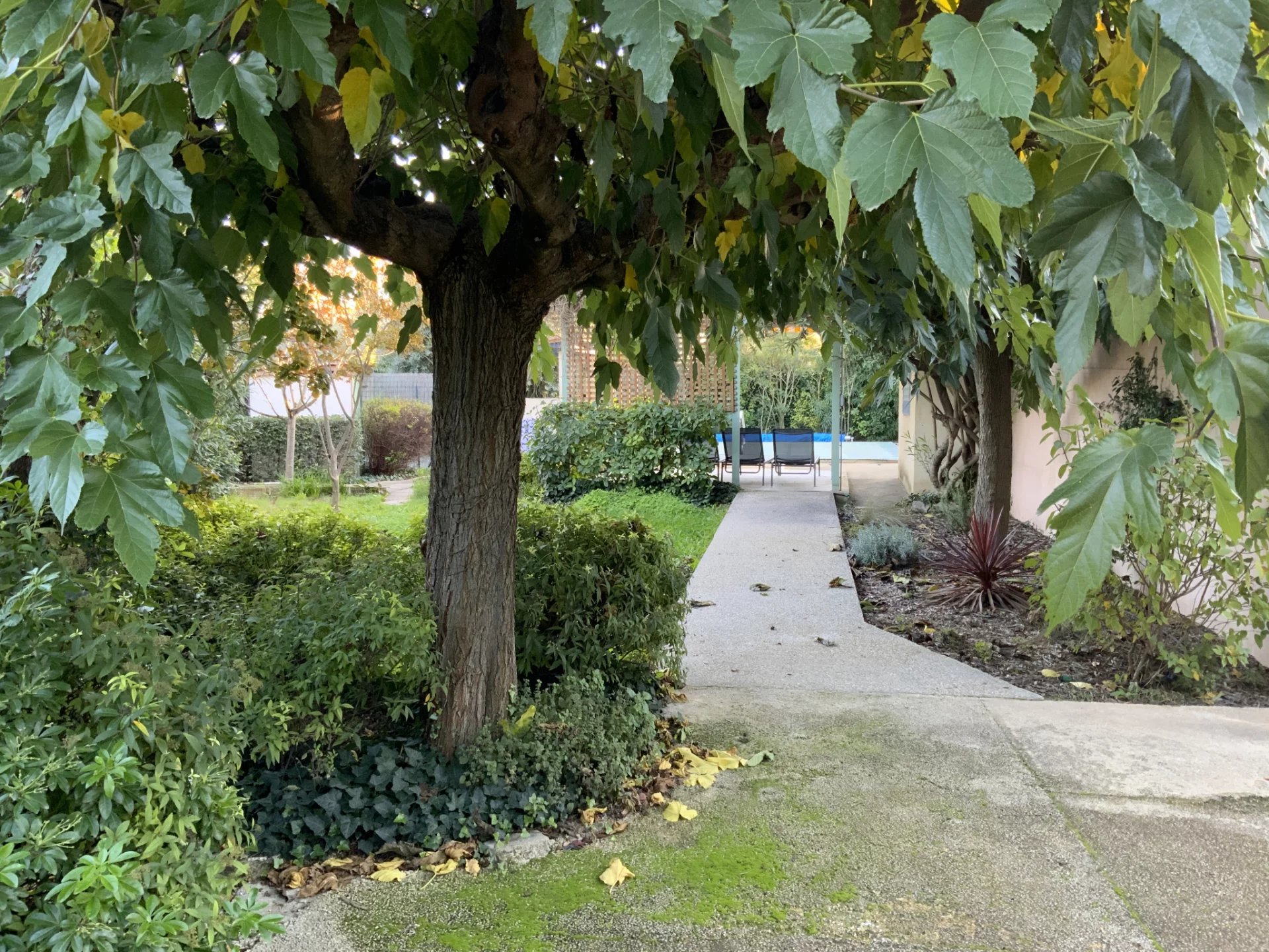 Charmante villa avec piscine dans village à quelques minutes