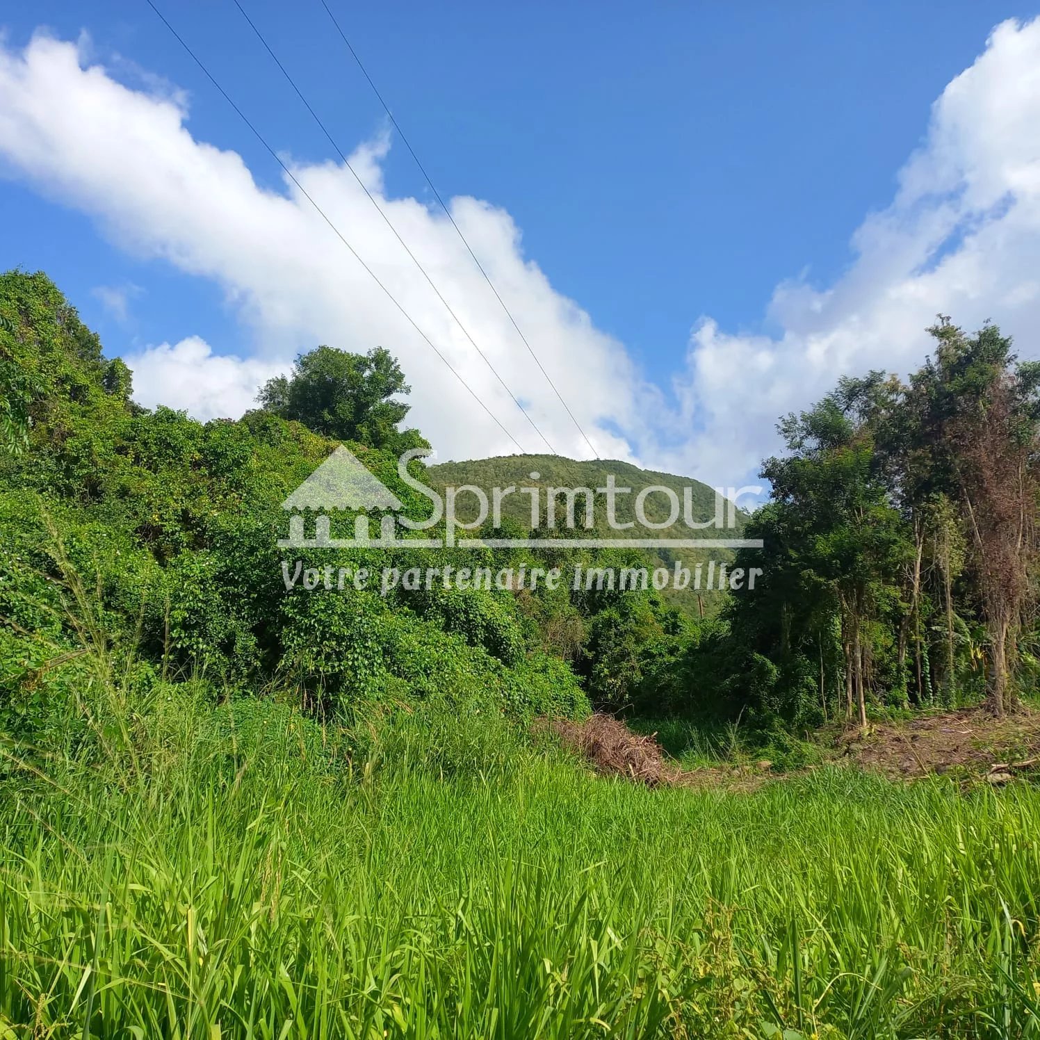 Beau terrain de 4421 m2 à vendre en bord de rivière à VIEUX