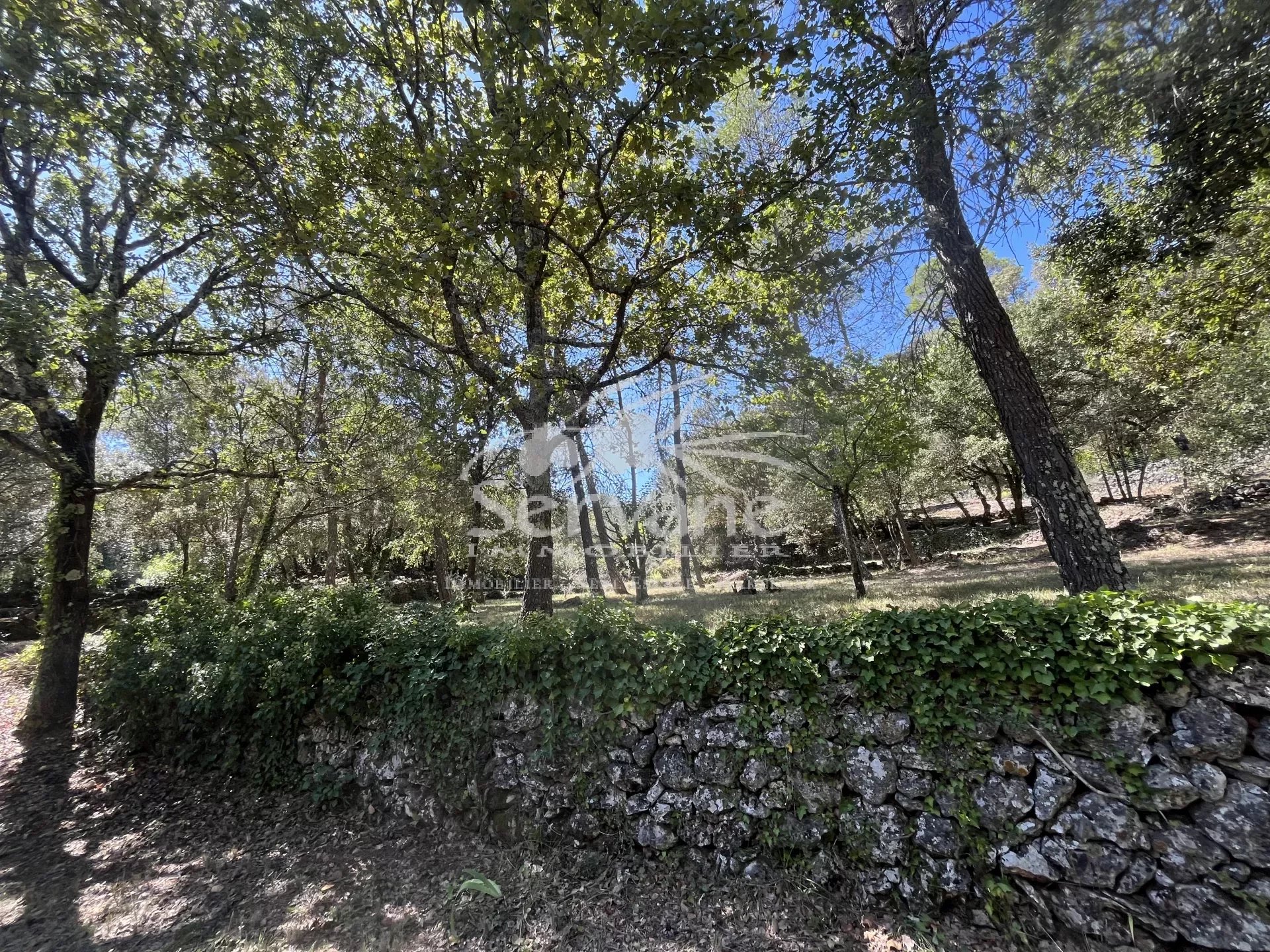 CHARMING OLD RENOVATED MAS COTIGNAC