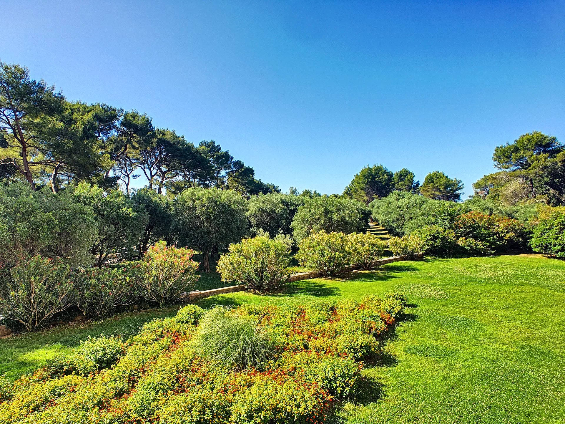 Appartement | 3 Pièces | 74 m² | Domaine du Loup