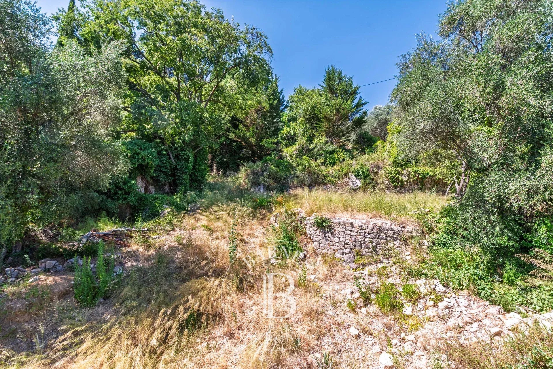 Grasse  - Terrain  - picture 5