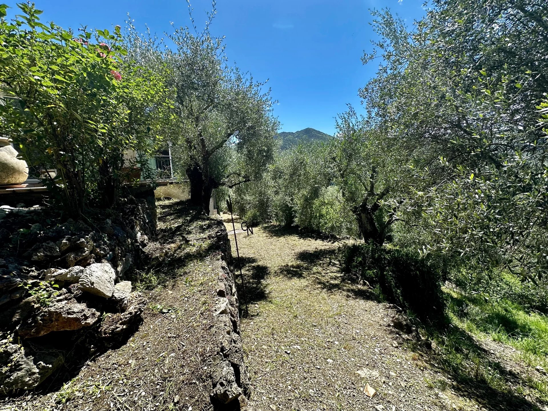 Vendita Appartamento Sospello