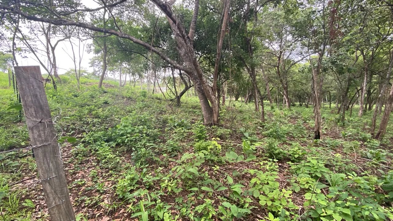 Sale Building land Cartagena