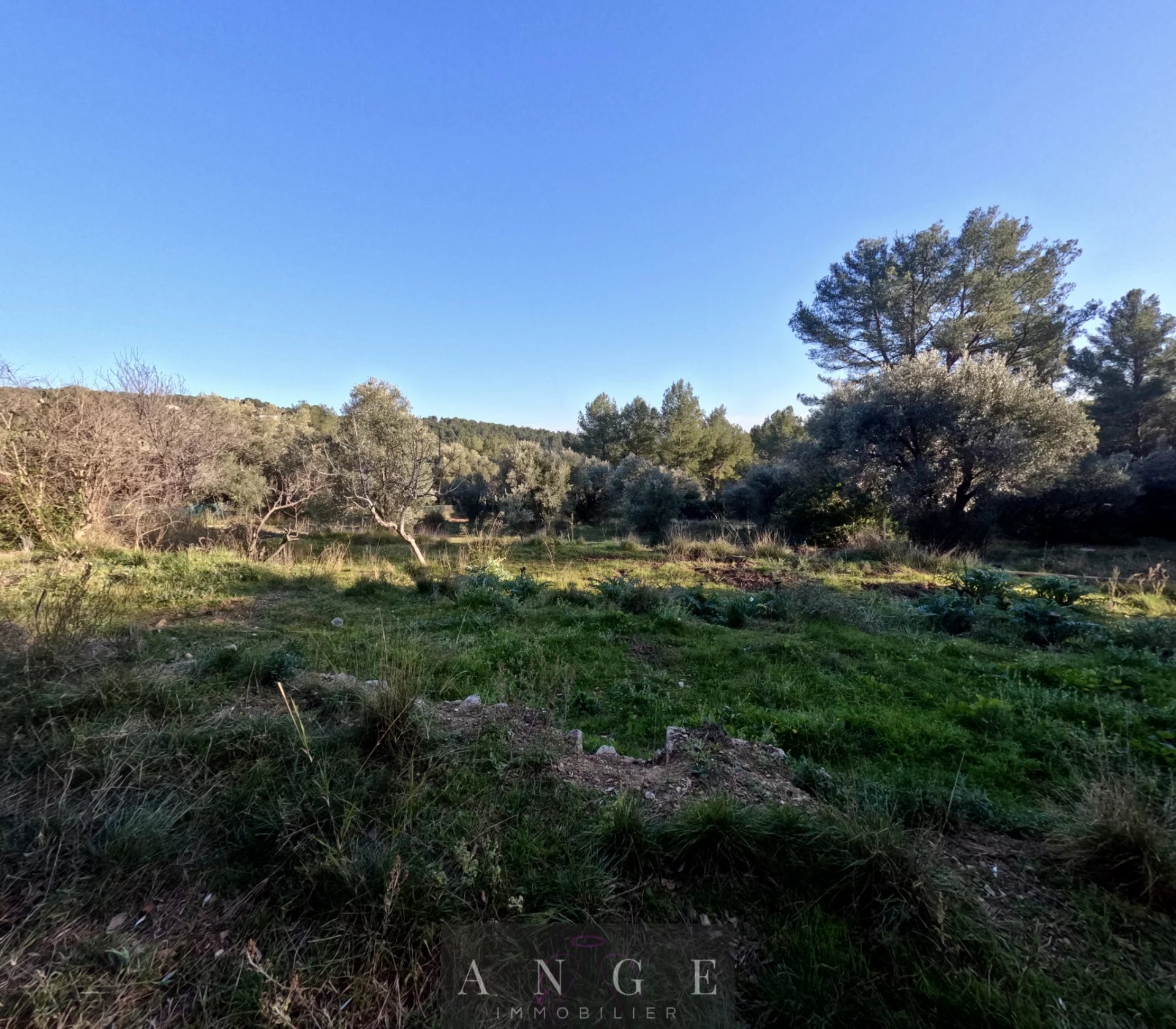 Vente Terrain Solliès-Ville
