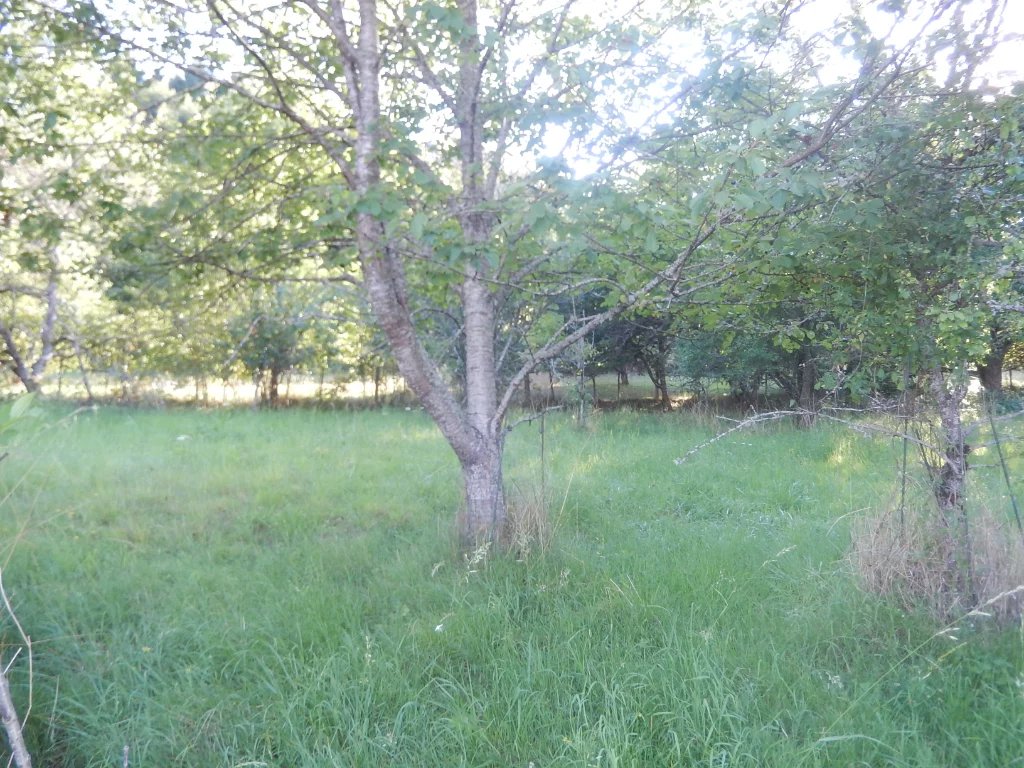 Vente Terrain Saint-Symphorien-de-Marmagne