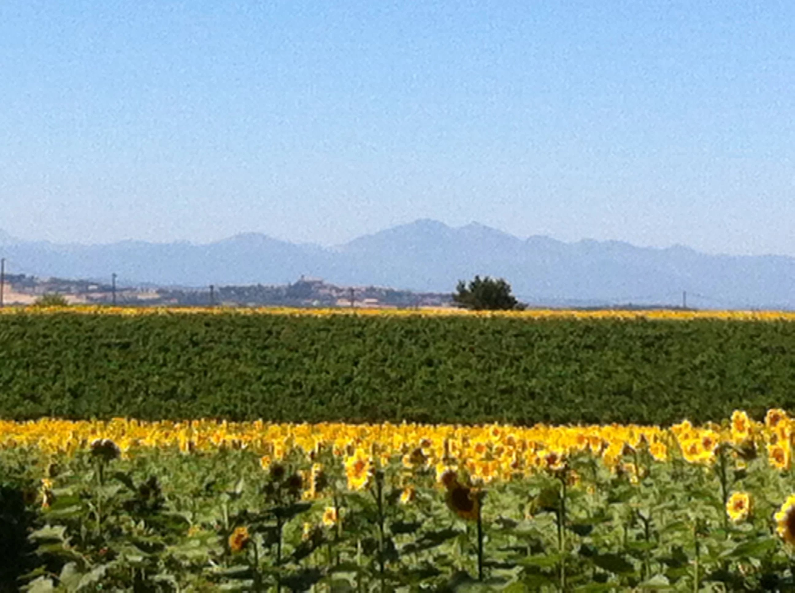 Maison à vendre Alzonne, Aude