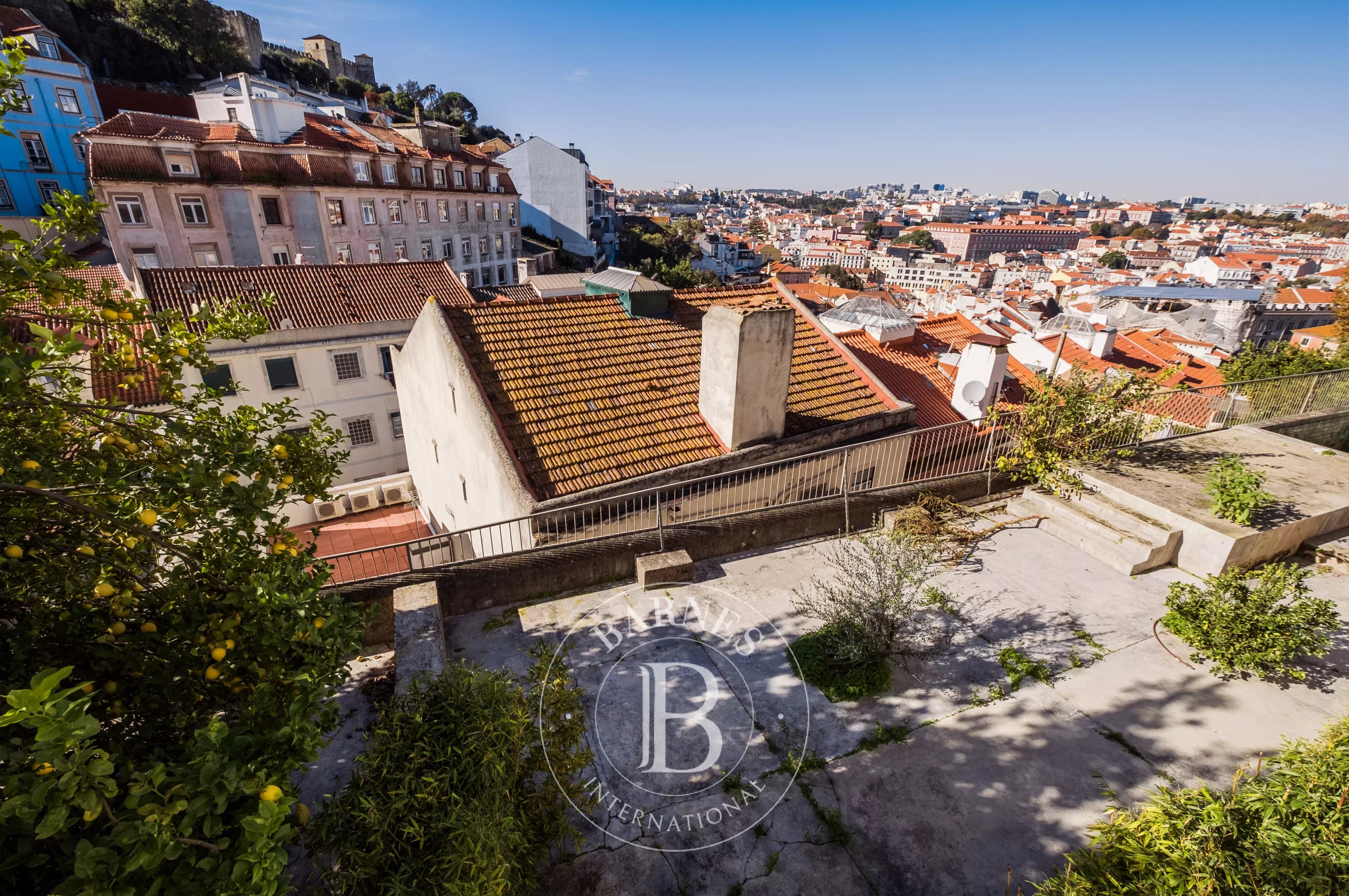 86230805 – São Vicente