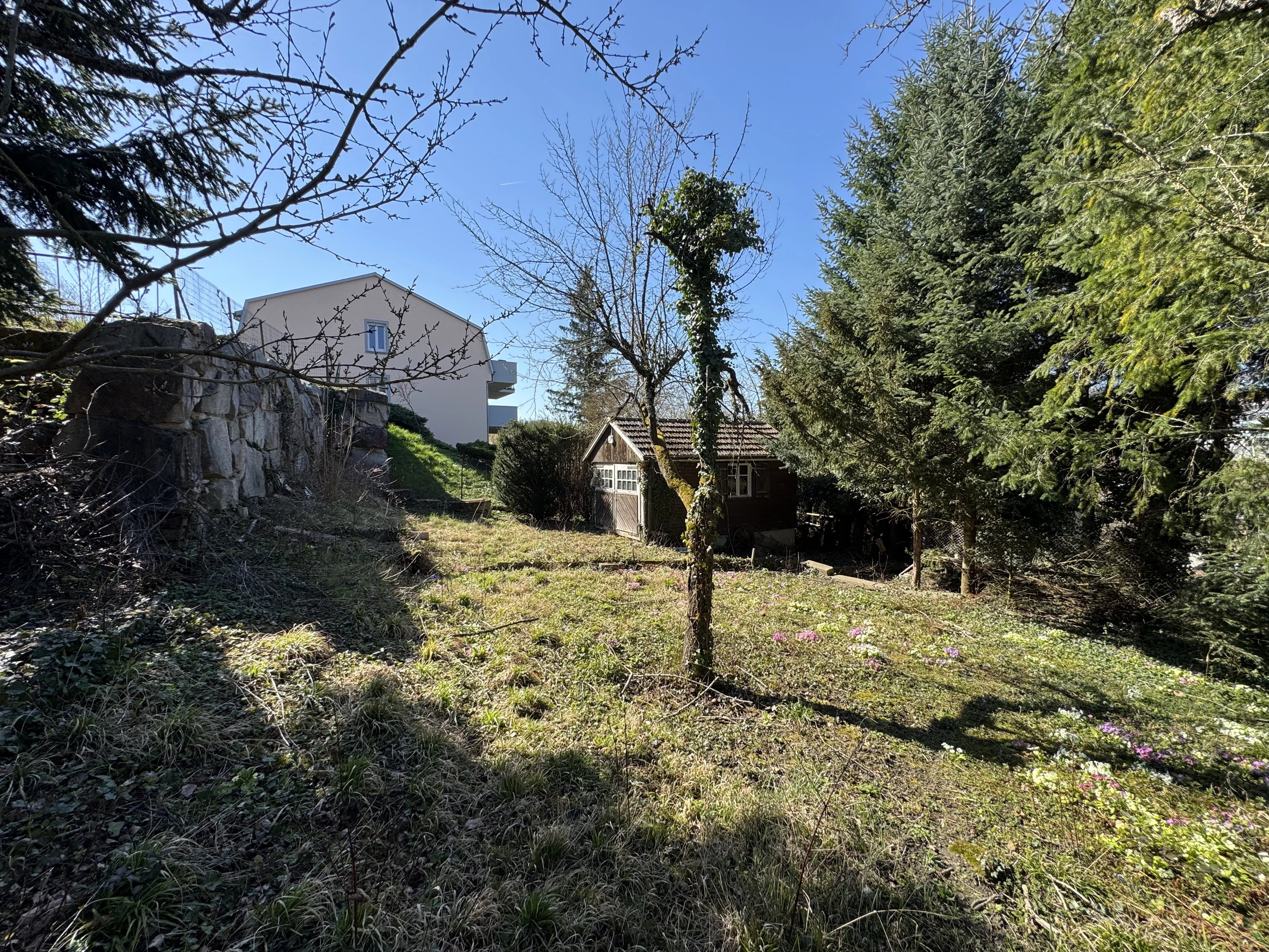 ALTKIRCH – TERRAIN À BÂTIR DE 8,56 ARES — photo 7