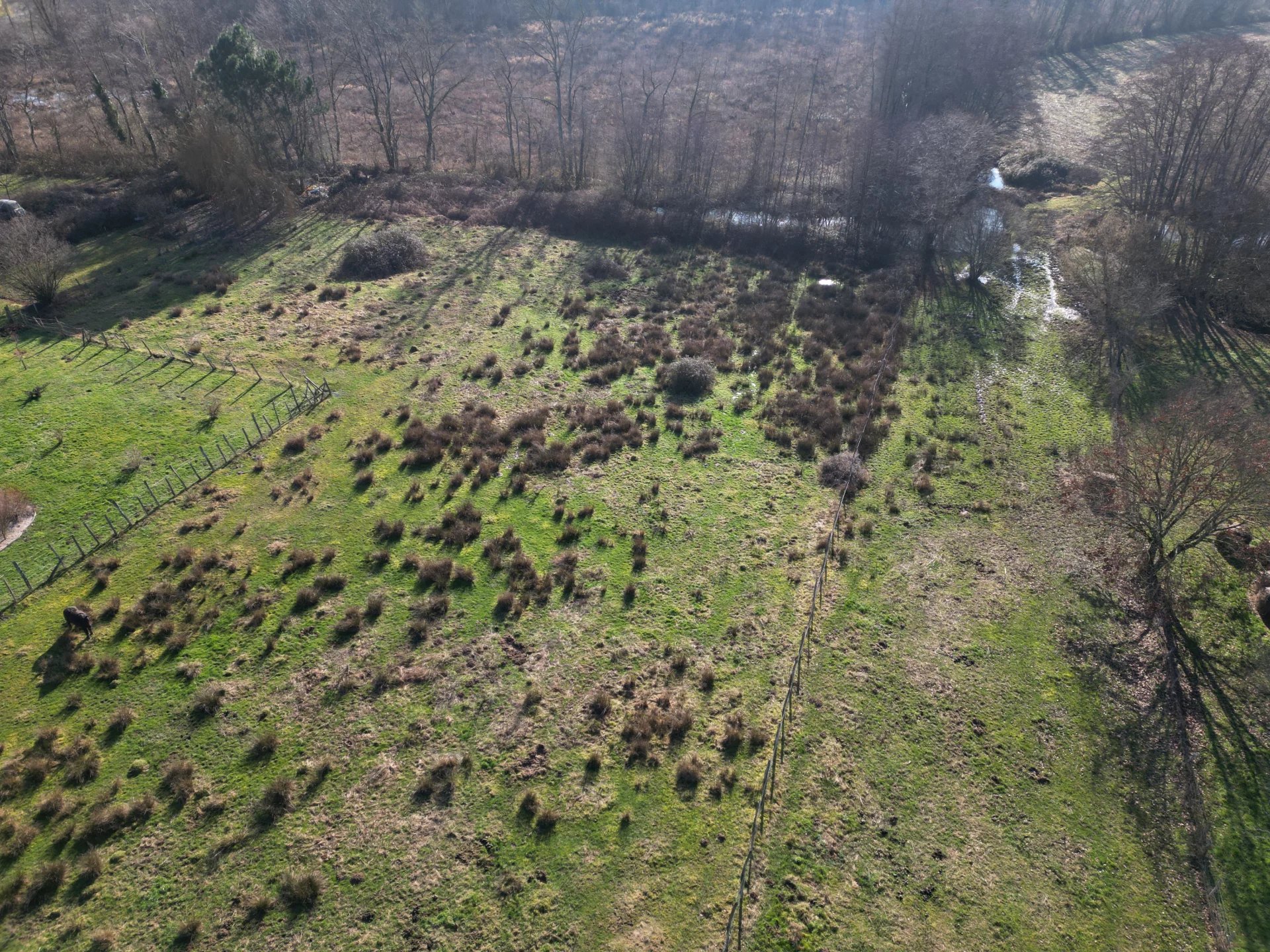 Vente Terrain constructible Diconne