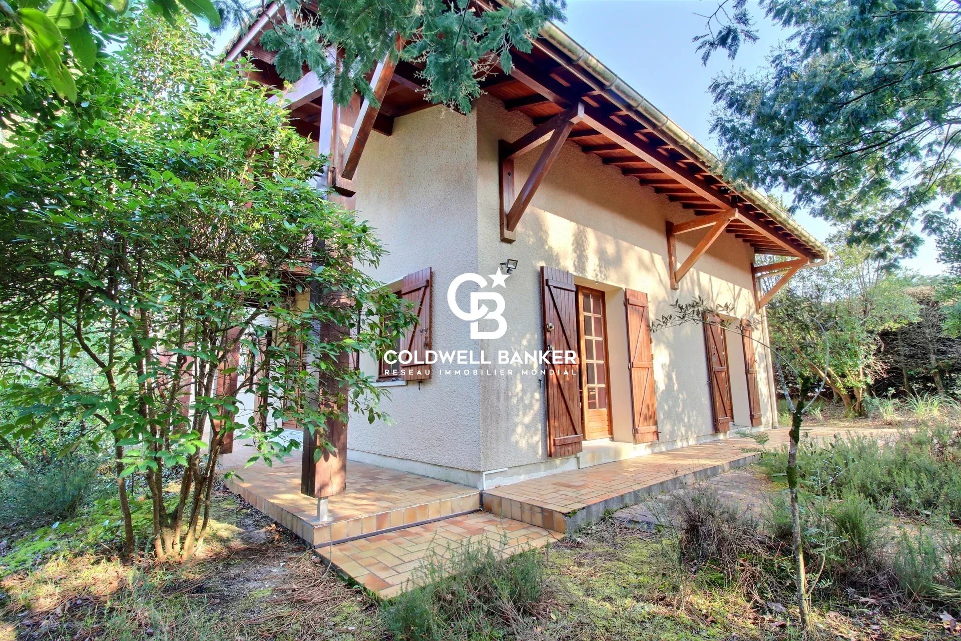 Agence immobilière de Silver Coast Int. Realty