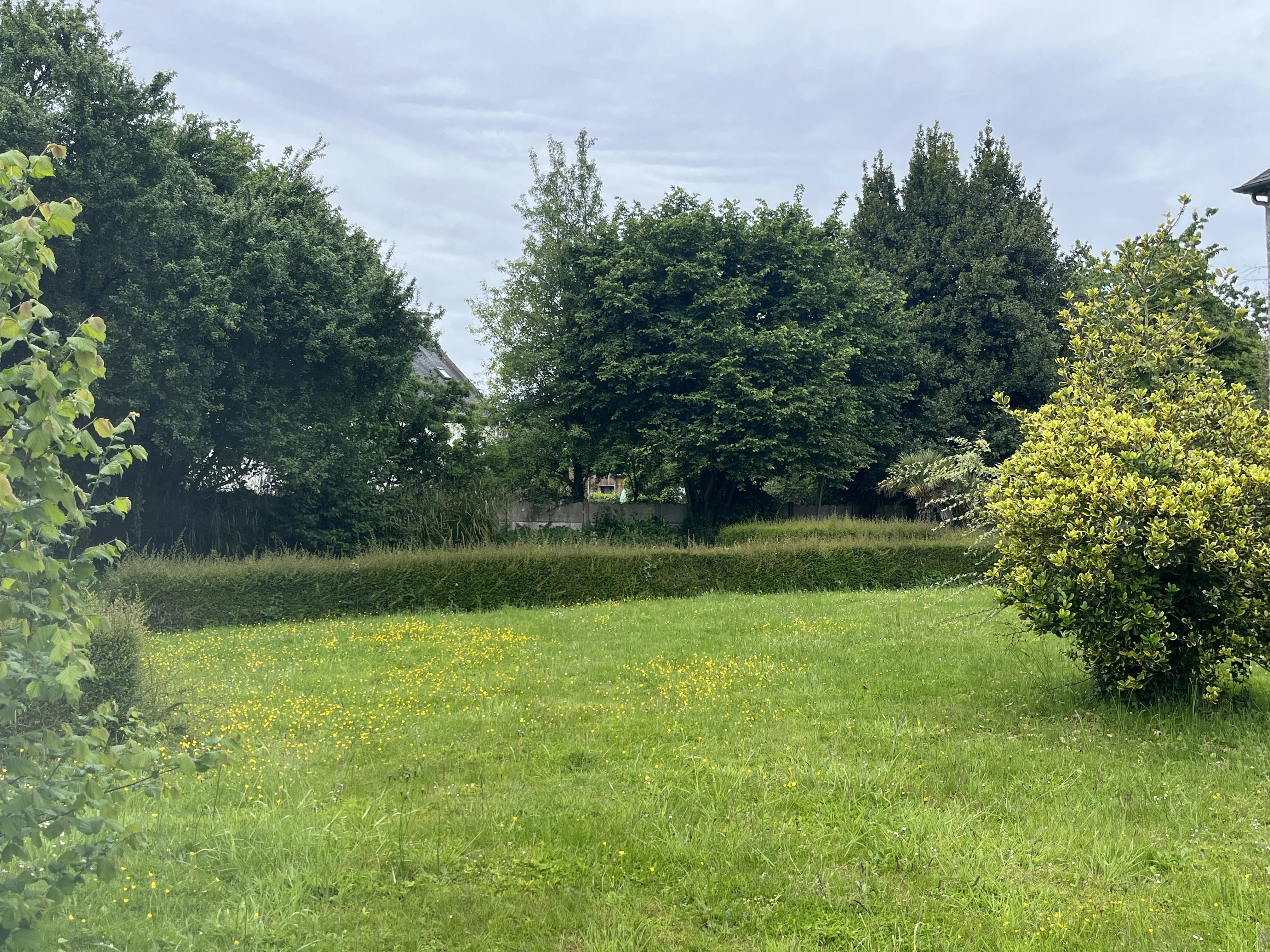 Terrain constructible viabilisé à La Vicomté-sur-Rance – Proche Rance, Dinan et Saint-Malo