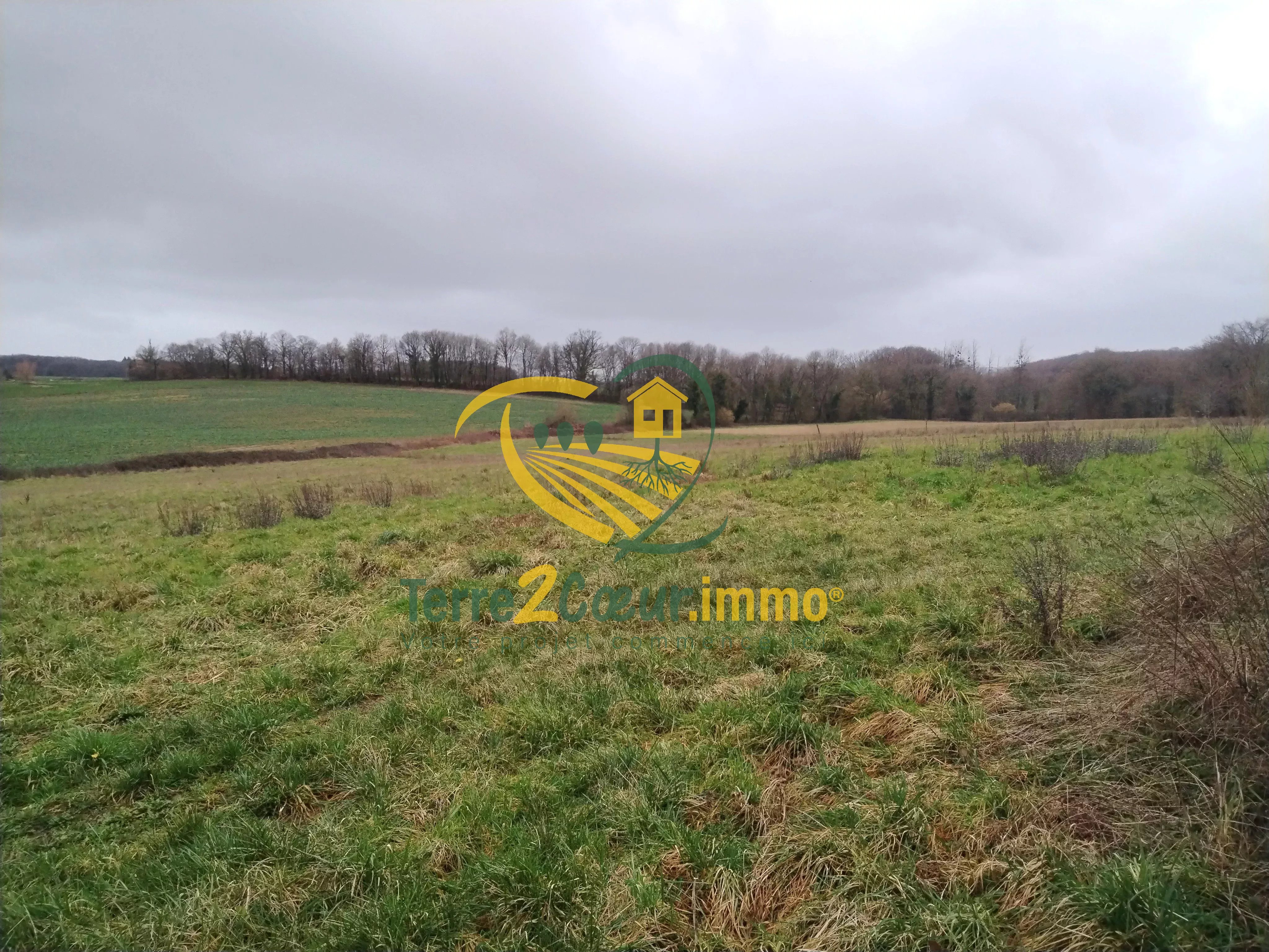 Agence immobilière de Monsieur Jérémy Garcia