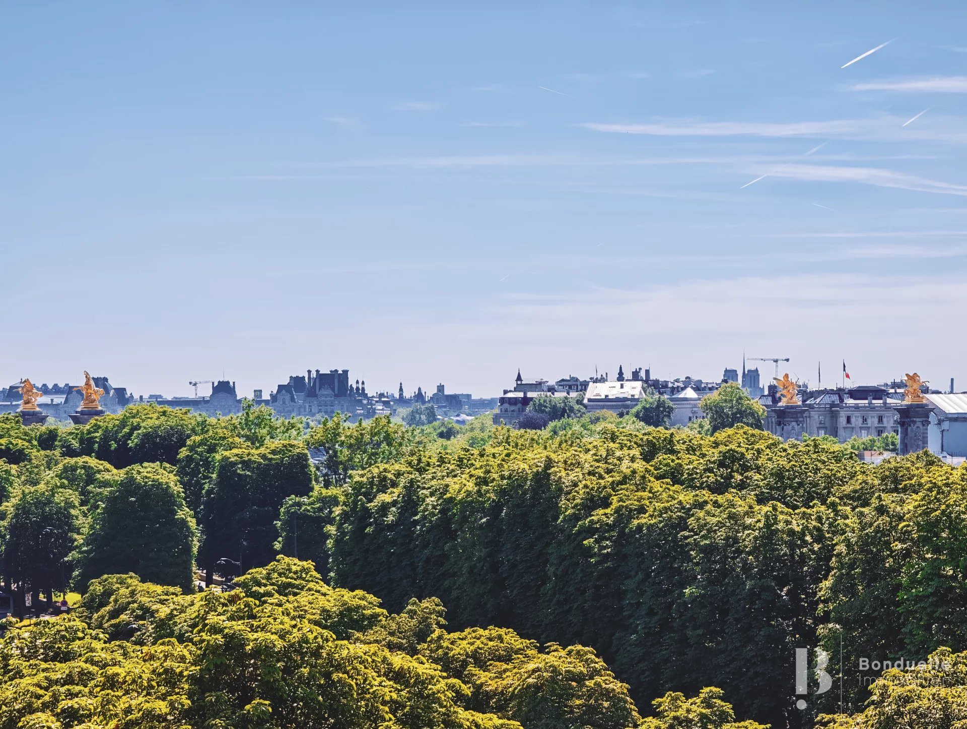 PARIS VIII À LOUER VIDE - SUPERBE APPARTEMENT CLIMATISE DE  168 M2 - COURS ALBERT 6E - TRIANGLE D'OR