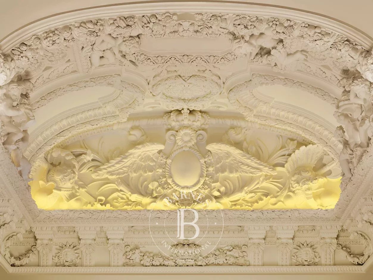 Mansion Paris 75016  -  ref 86881313 (picture 3)