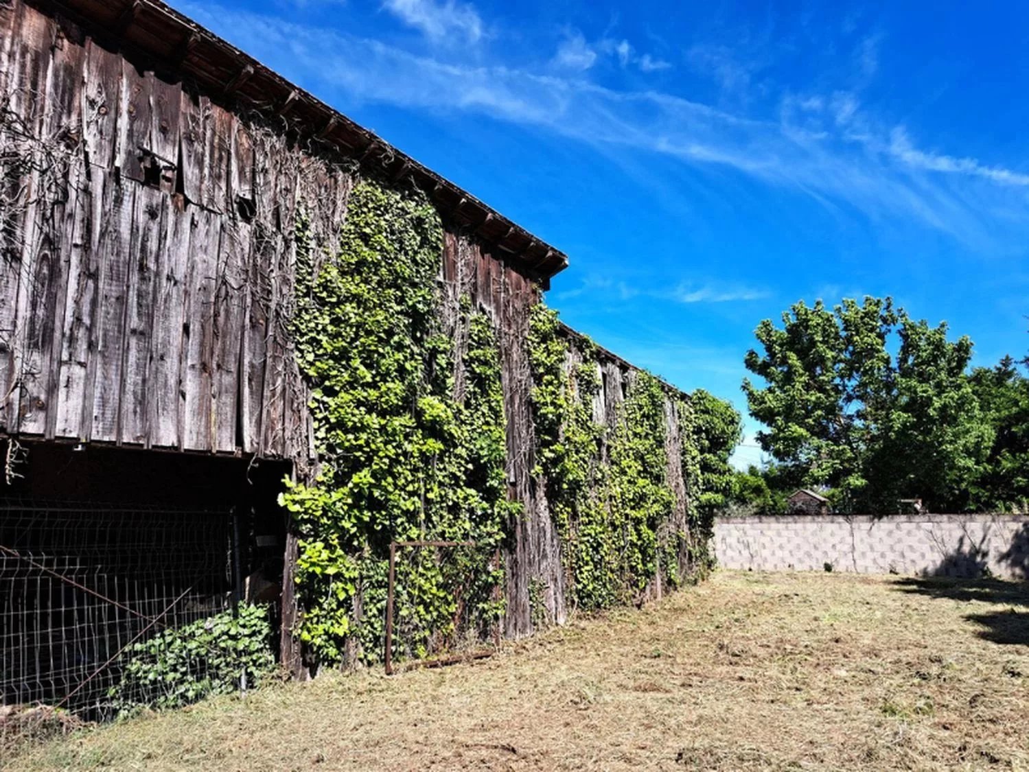 Vente Terrain Saint-Macaire