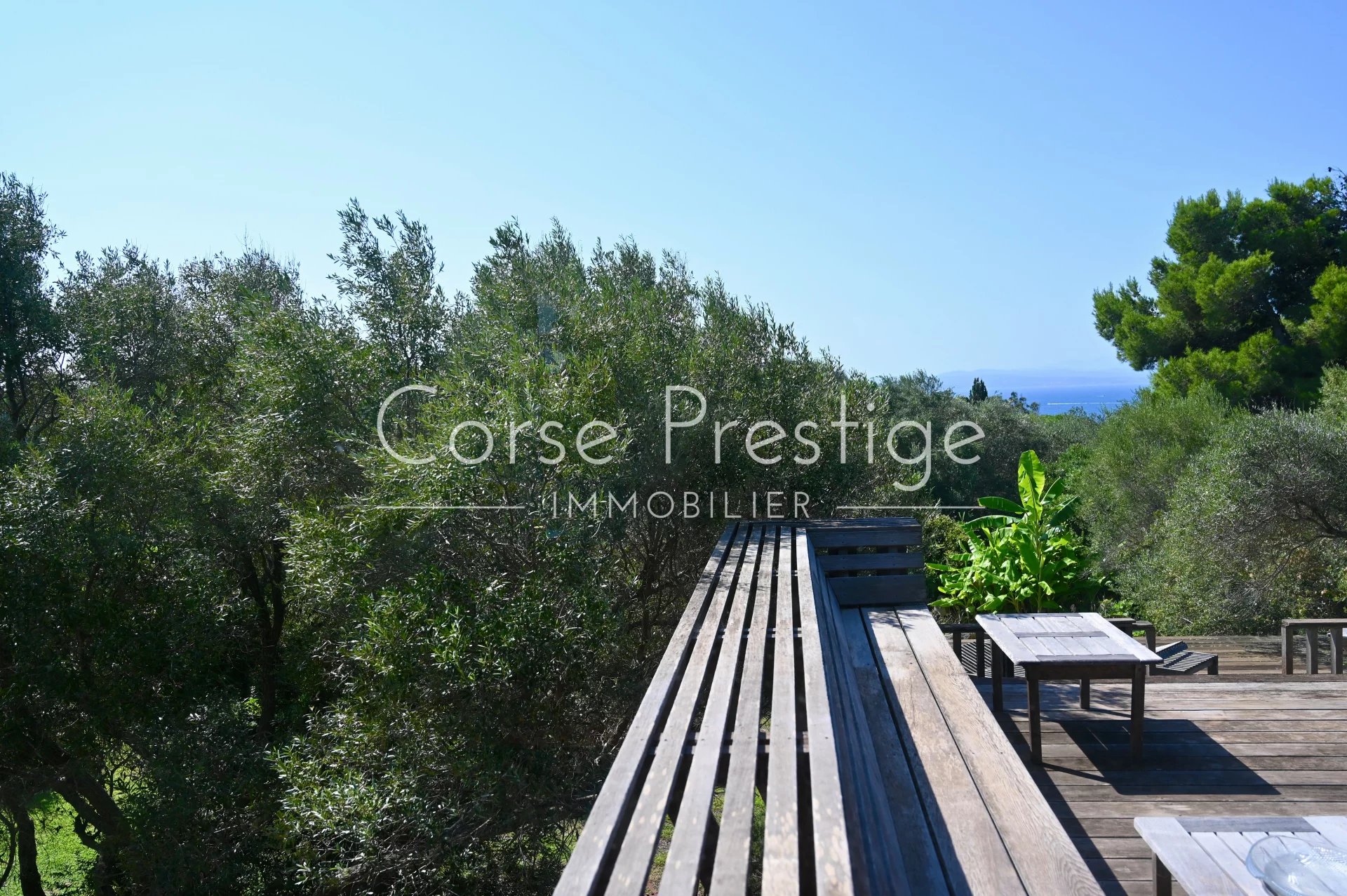 confidential sale - house in red cedar - sperone - bonifacio - south corsica image7