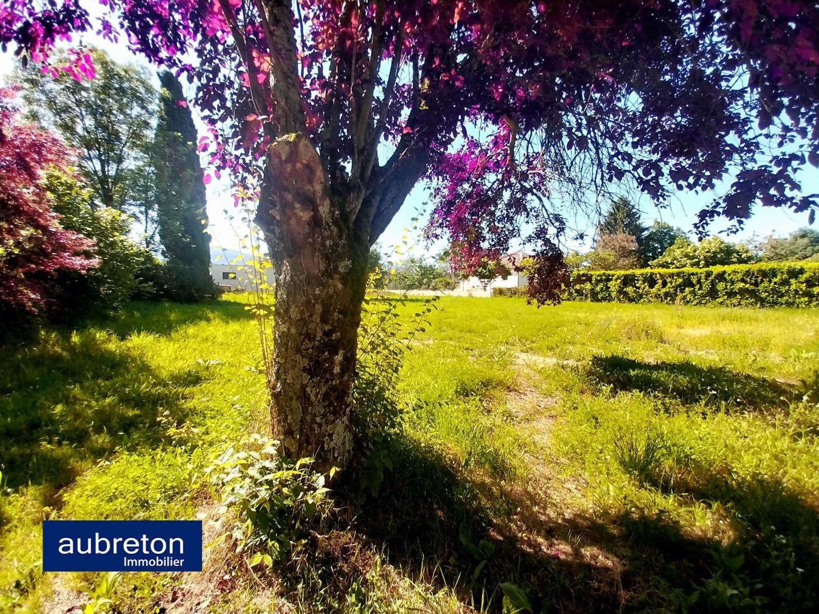 Vente Appartement Saint-Vérand