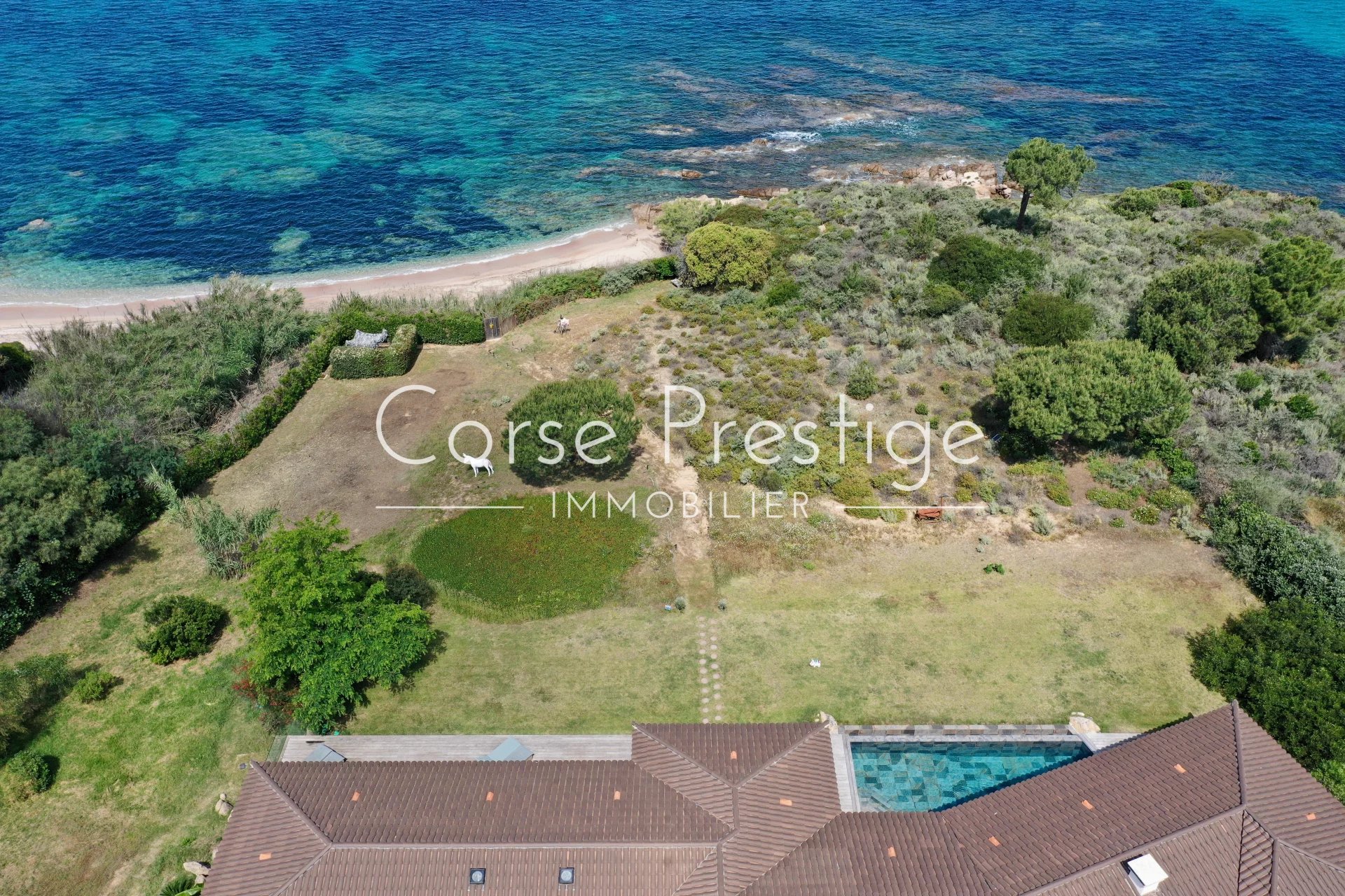 luxury villa for rent with swimming pool – porticcio image4