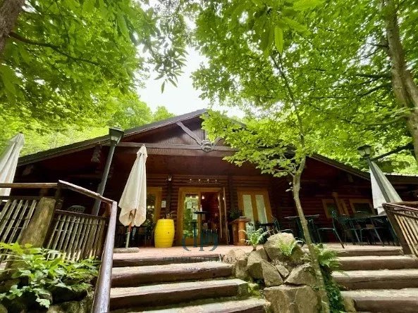 Malikane Valganna - picture 5