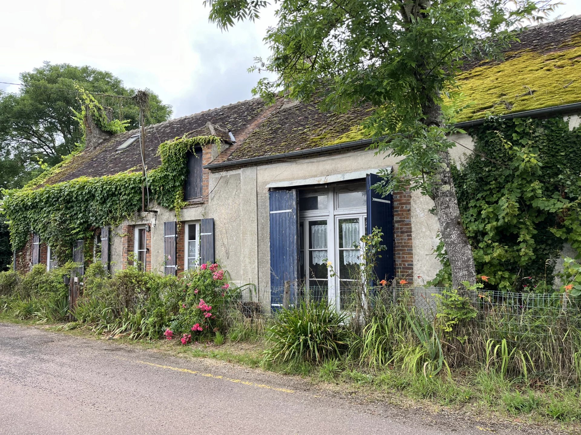 Vente Maison Égreville