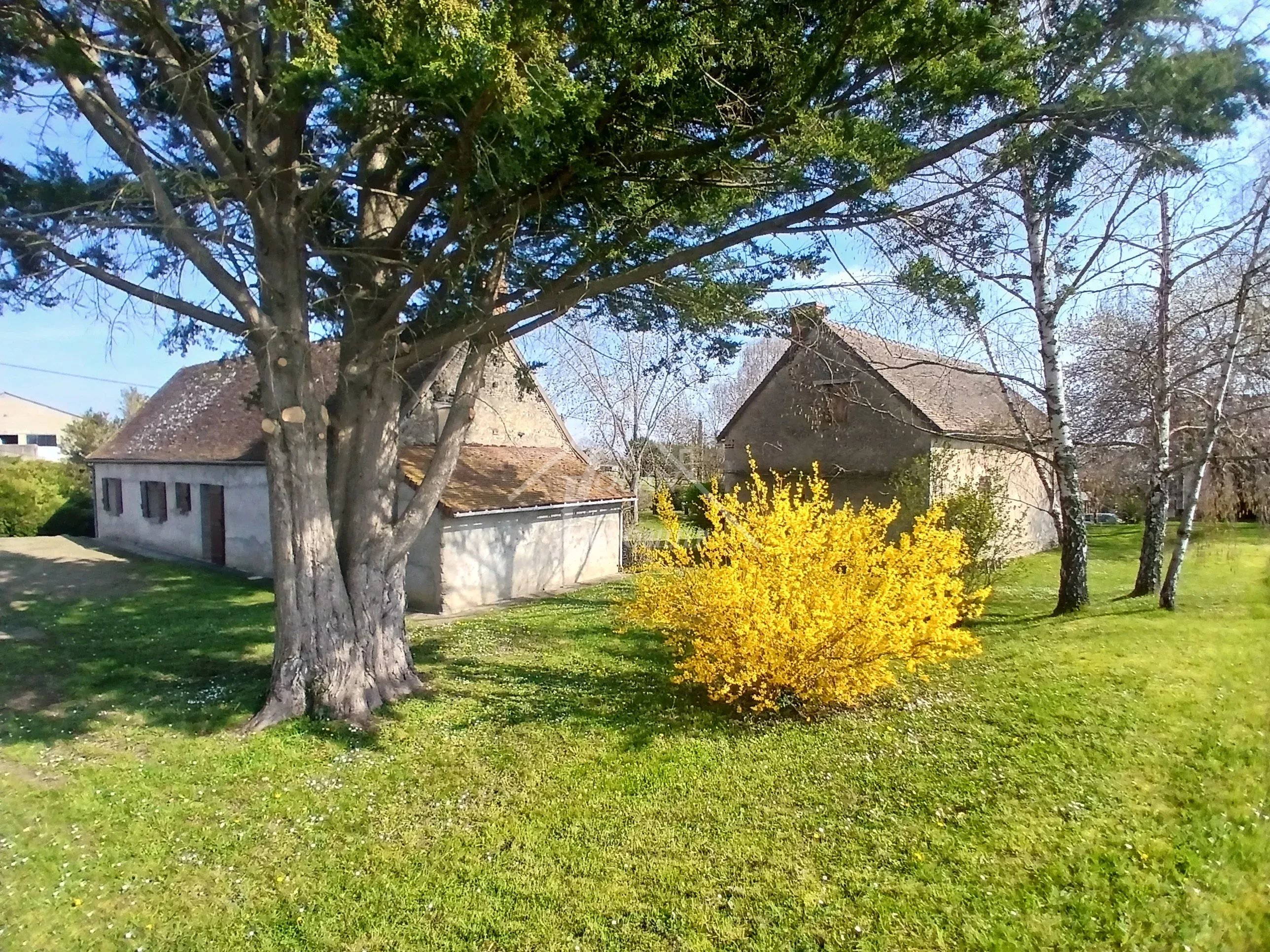 Agence immobilière de Jouan Immobilier