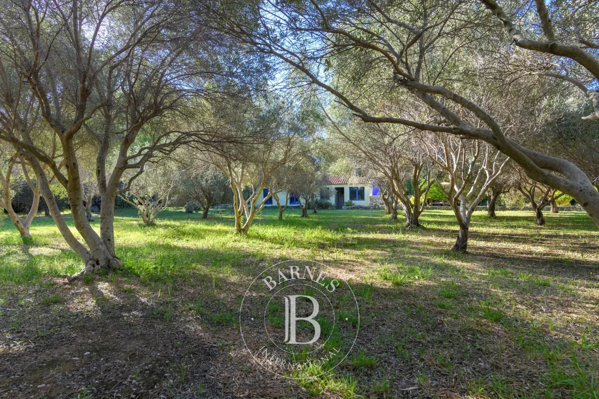 Ev Ollioules - picture 40