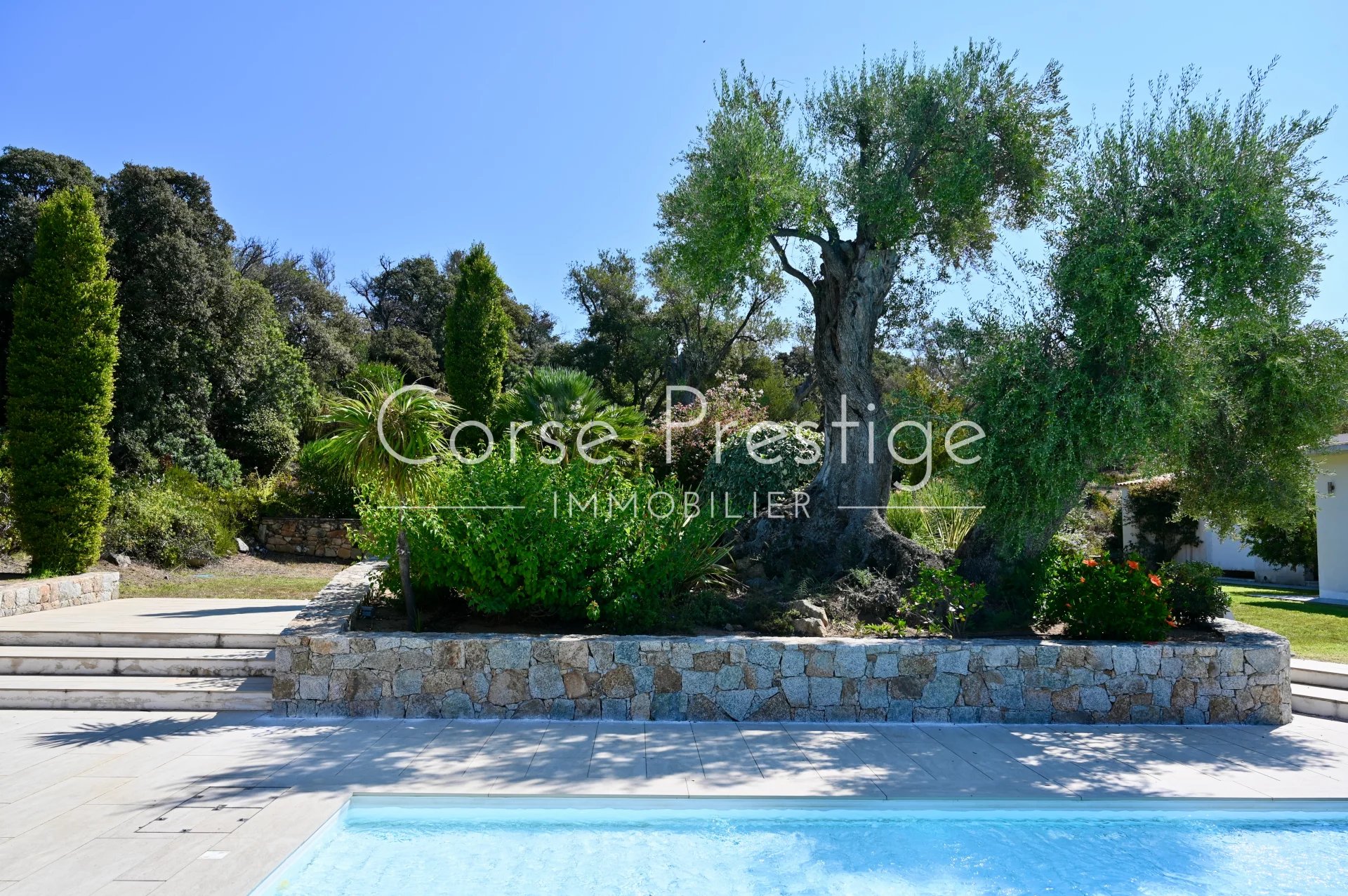 for sale - villa with pool - lumio - north corsica image8